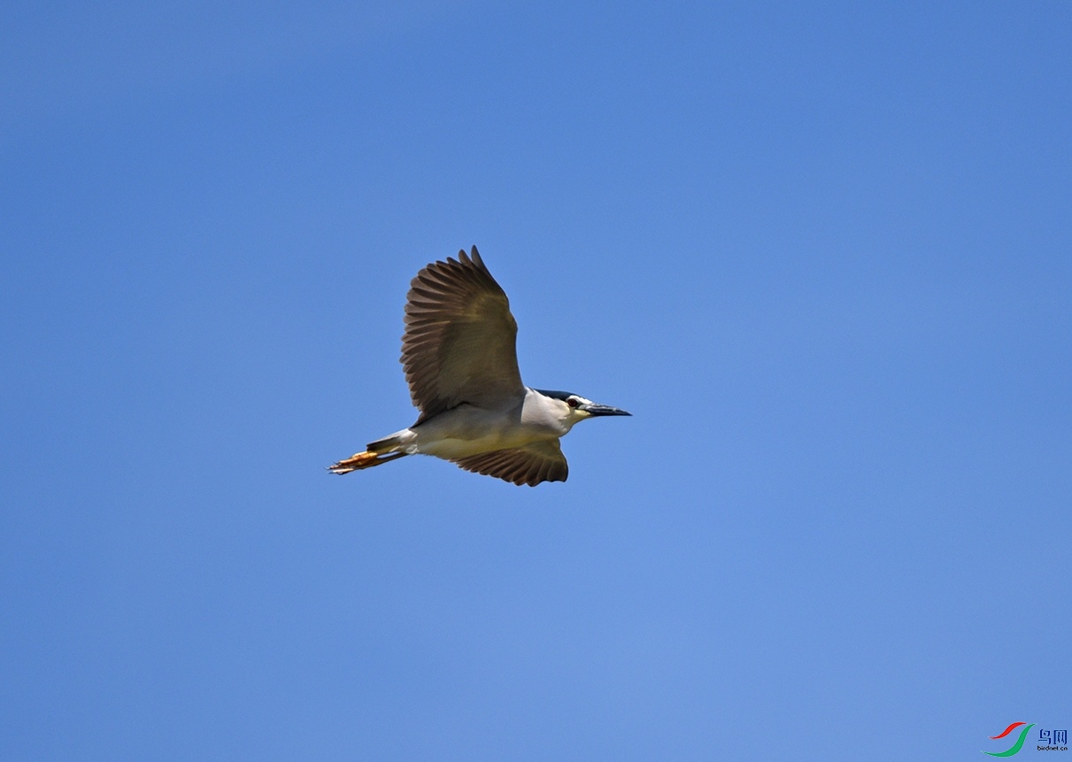 DSC_9691.jpg