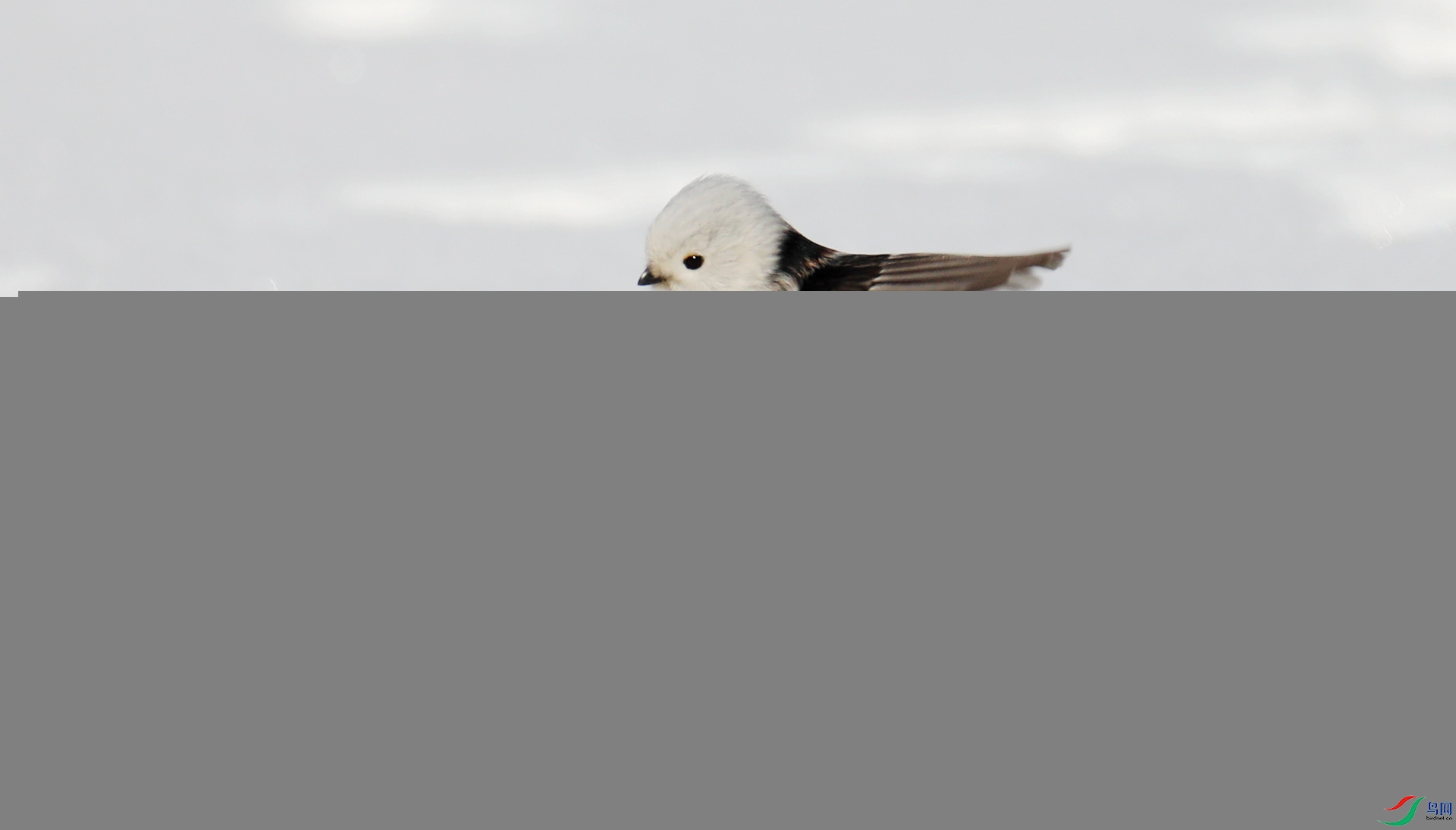 9G8A8067.JPG