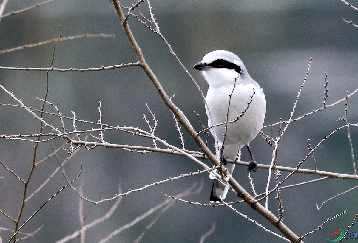 3A6249Шβ����-23.JPG