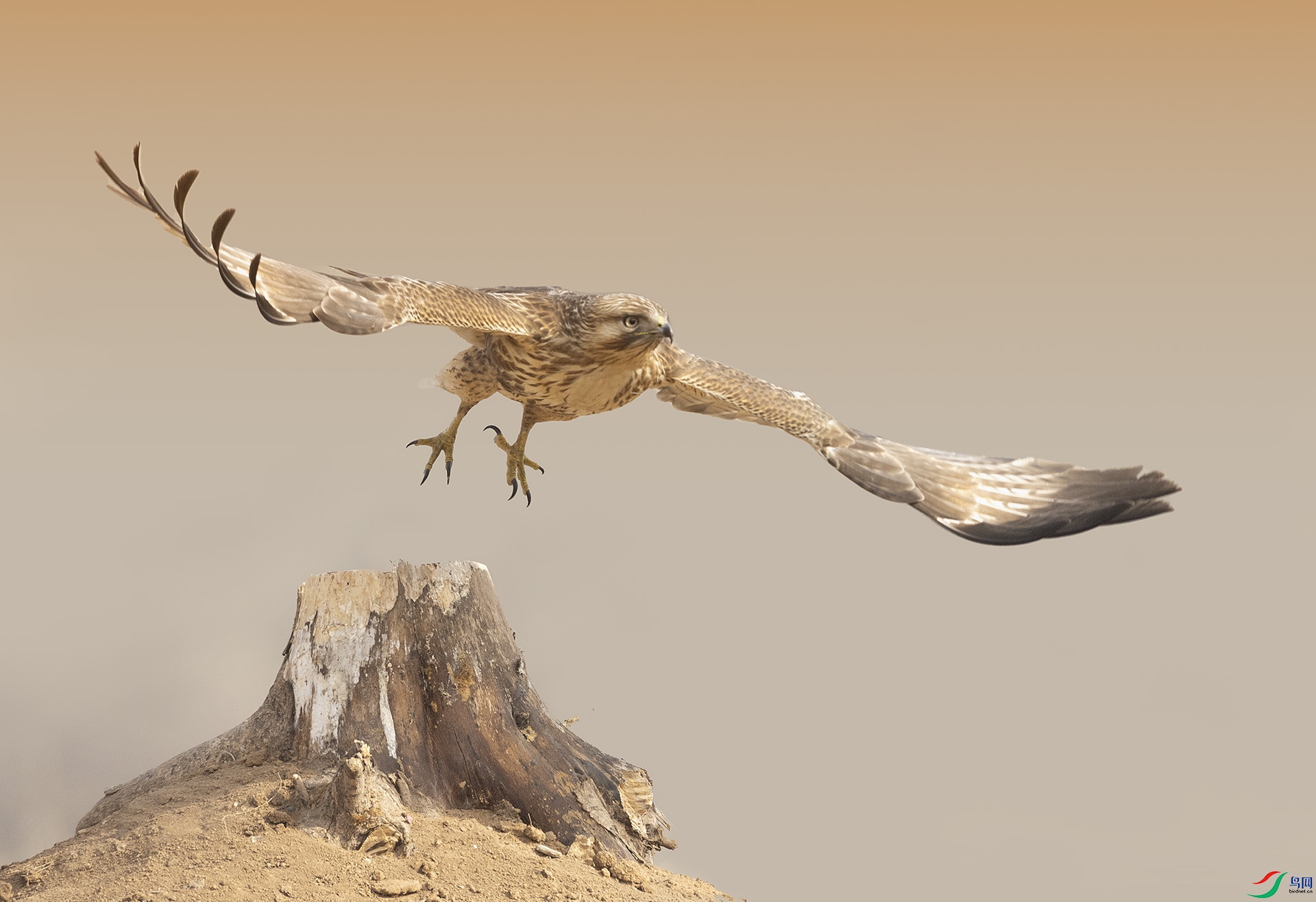 019A0406 ����.jpg