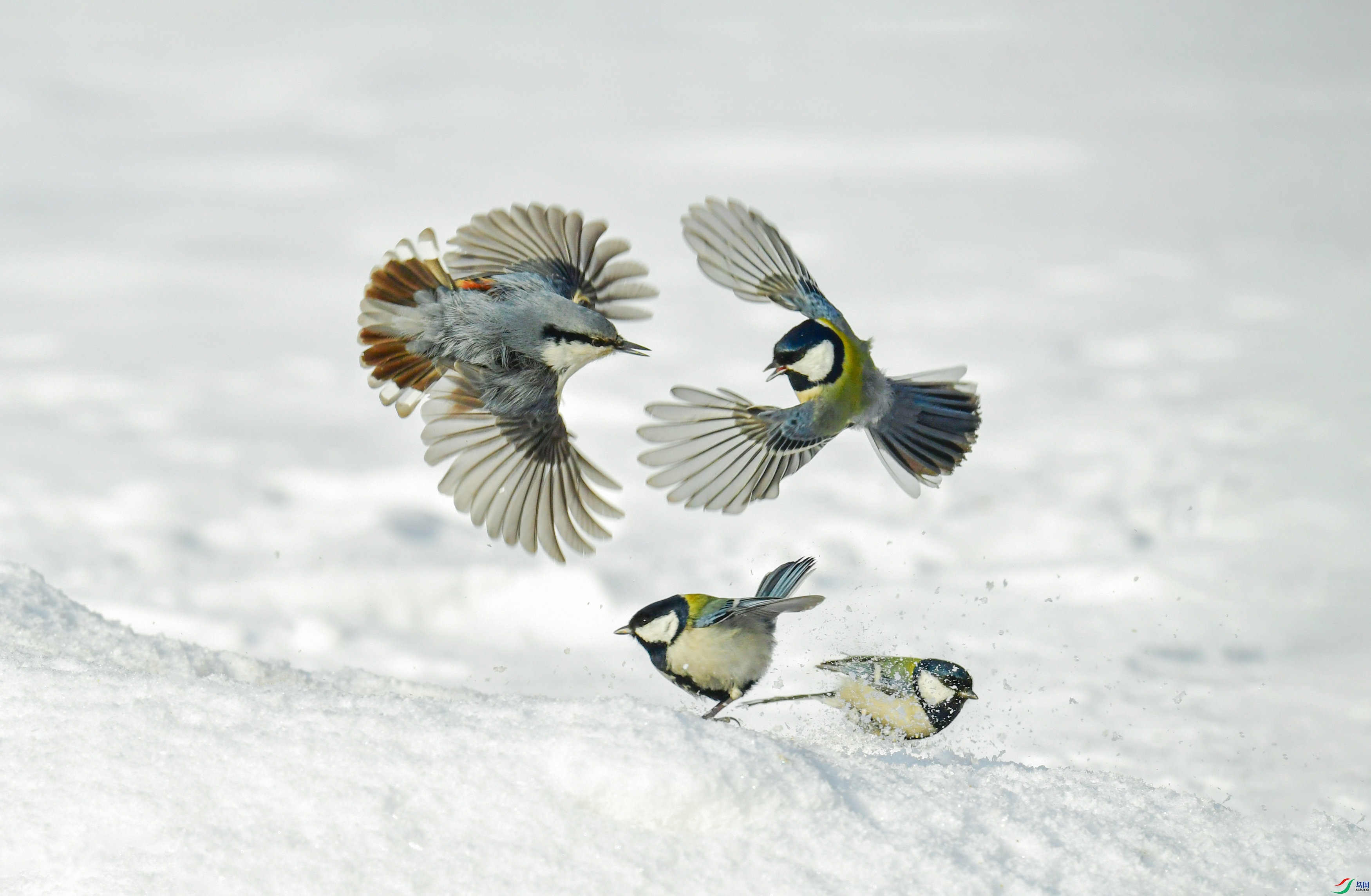 �������