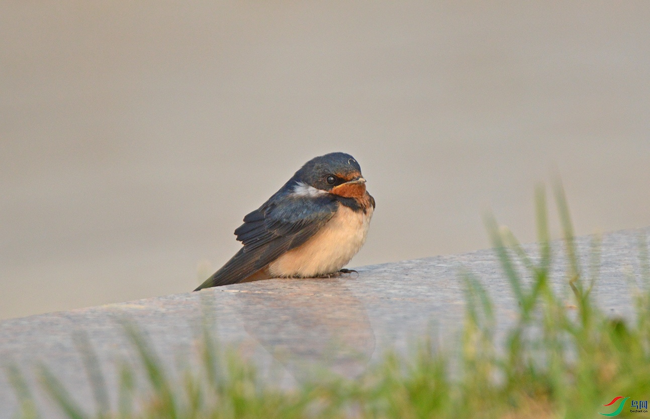 DSC_0304f.jpg