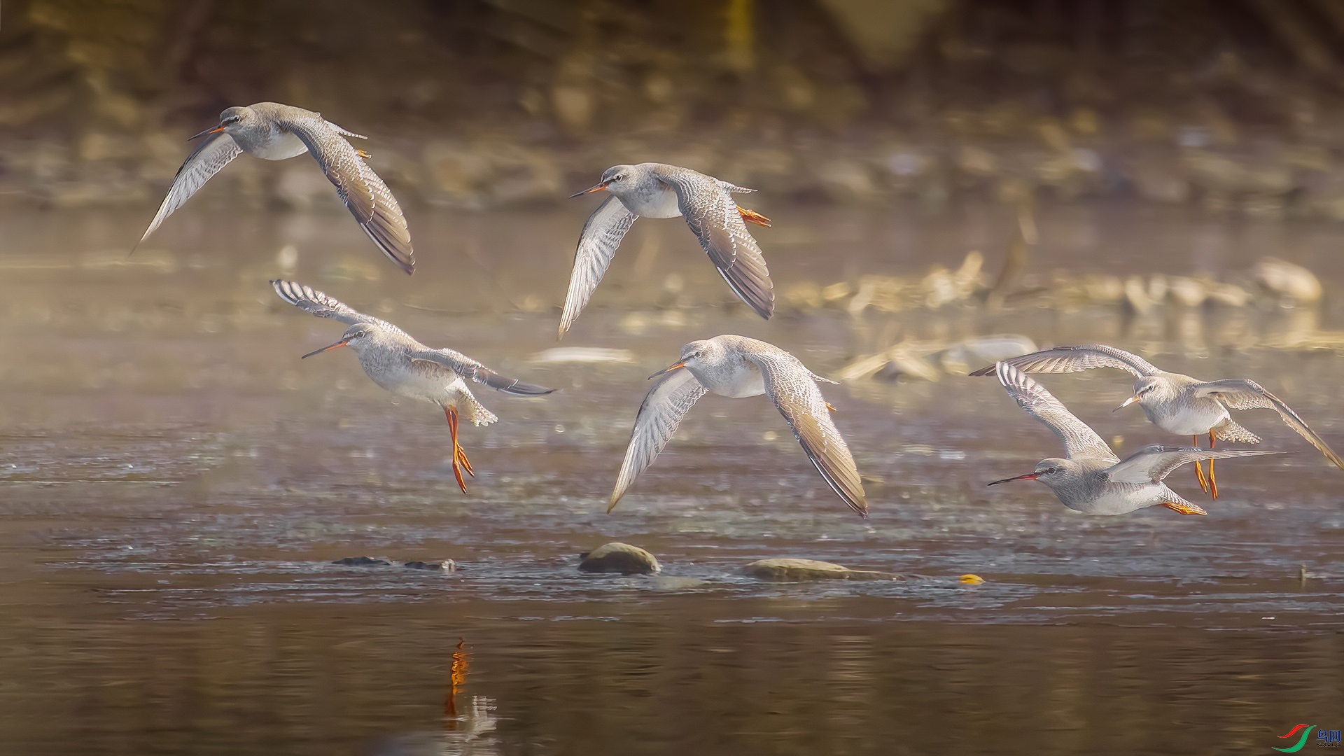 _MG_0412-CR2.jpg