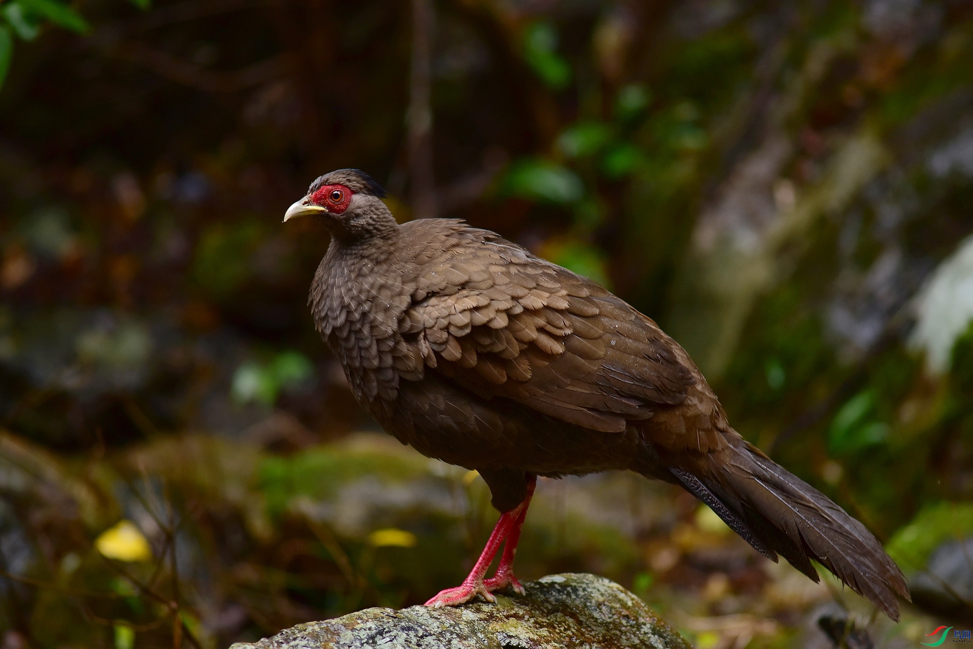 D8I_9414.jpg