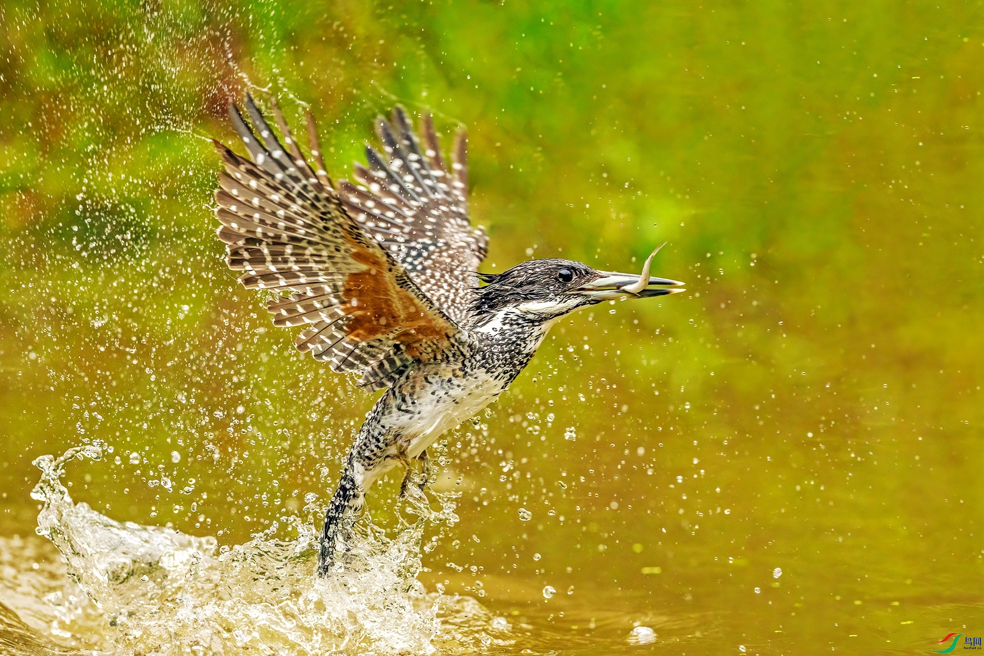���㹷022С������.jpg