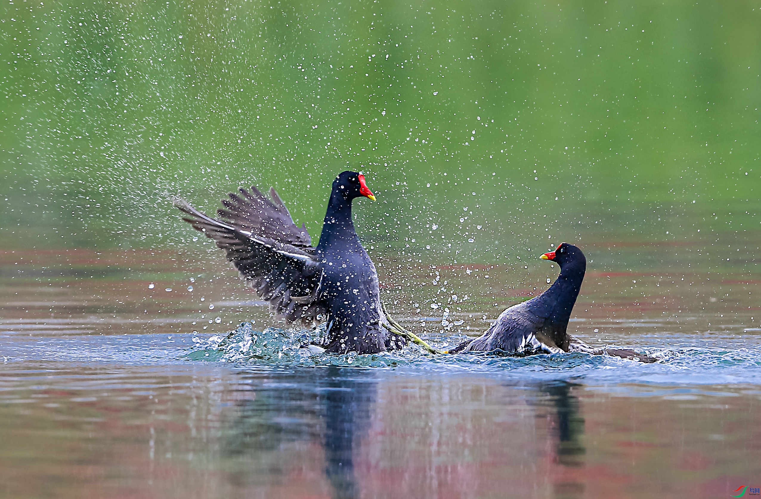 _49R8255.jpg