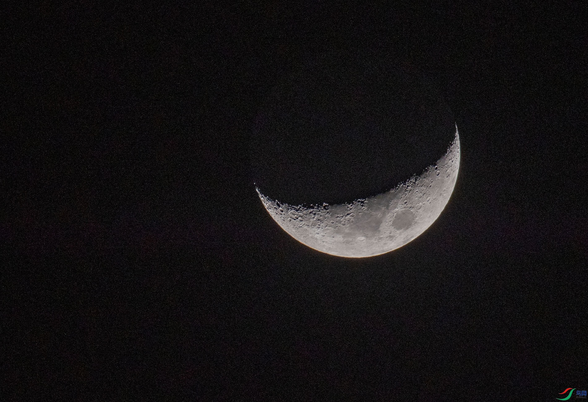 DSC_6505.jpg