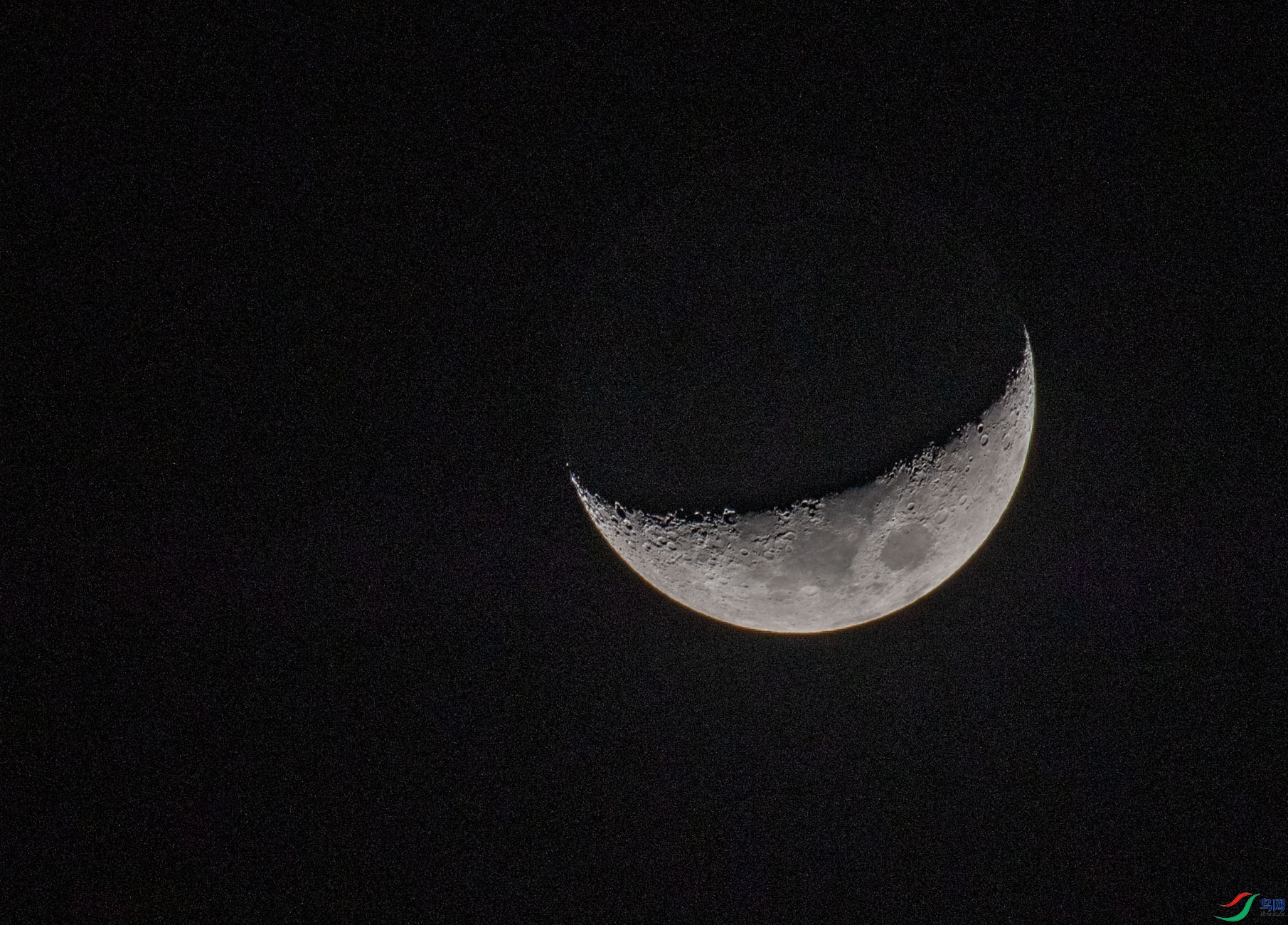 DSC_6502.jpg