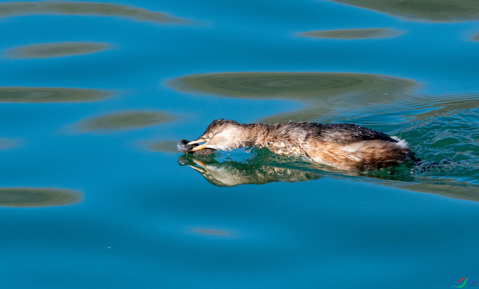 DSC_4971.jpg