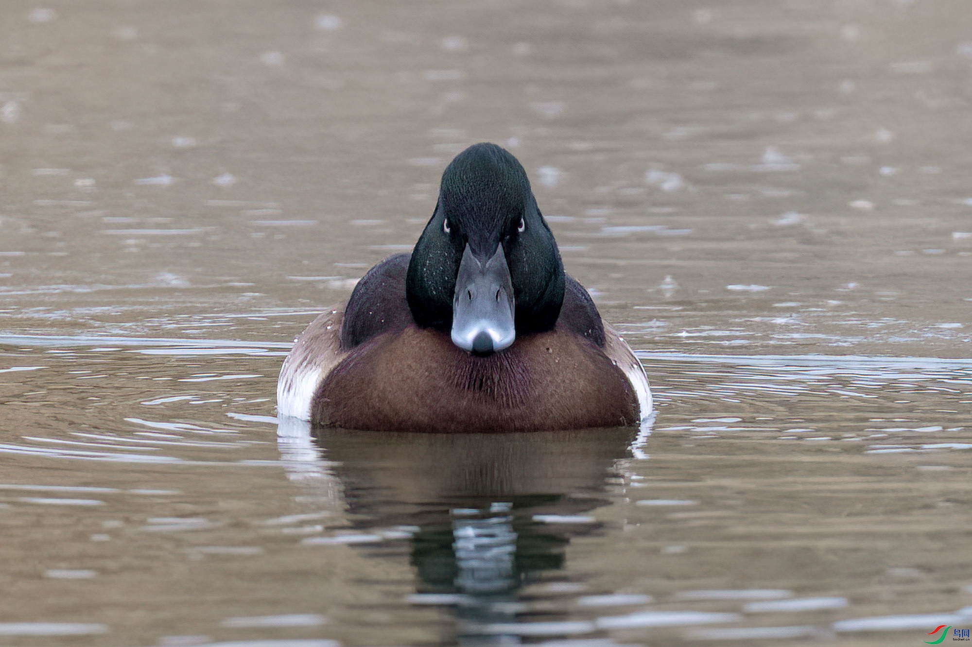 DSC_7919.jpg