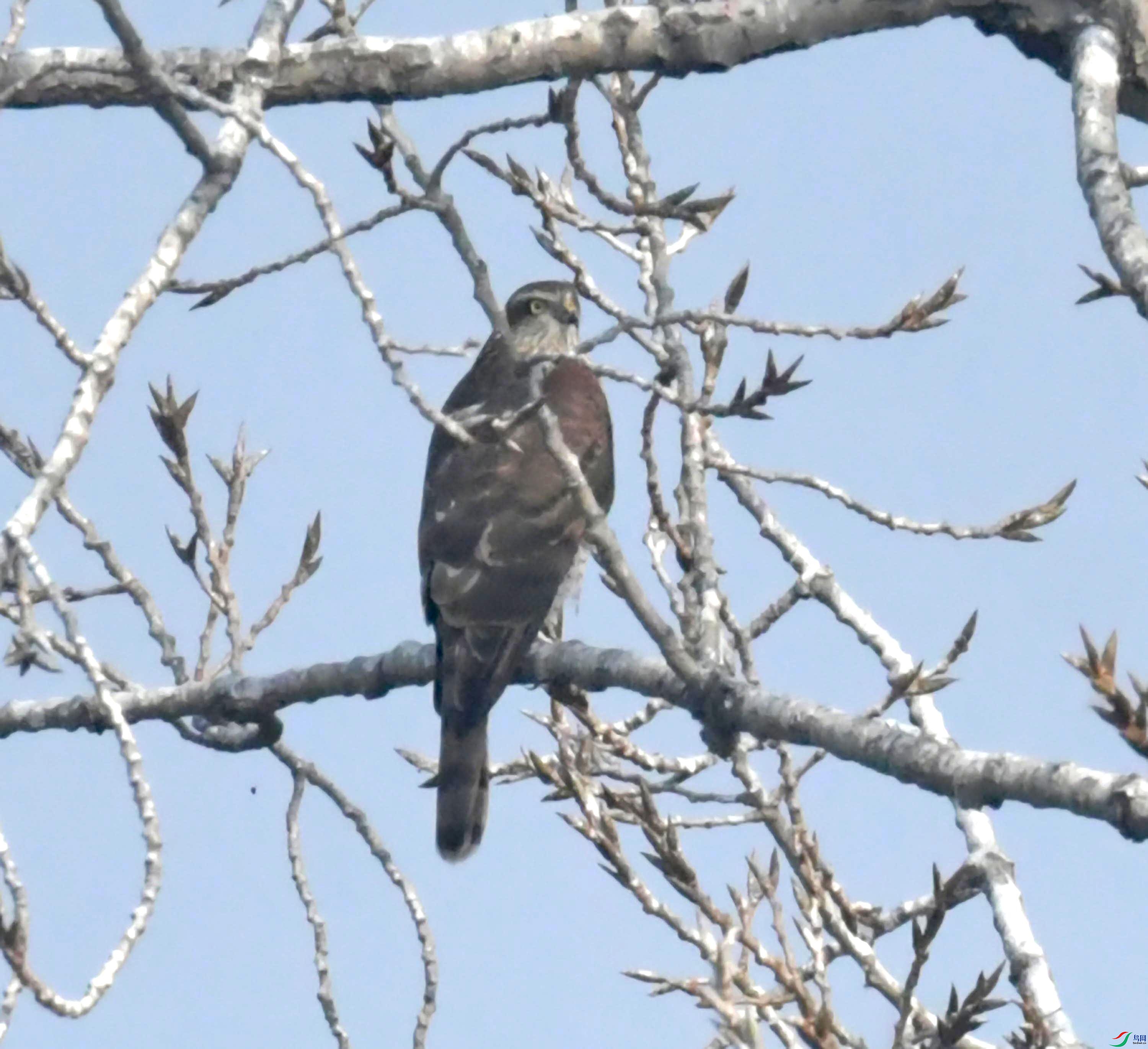 DSC_0114.JPG