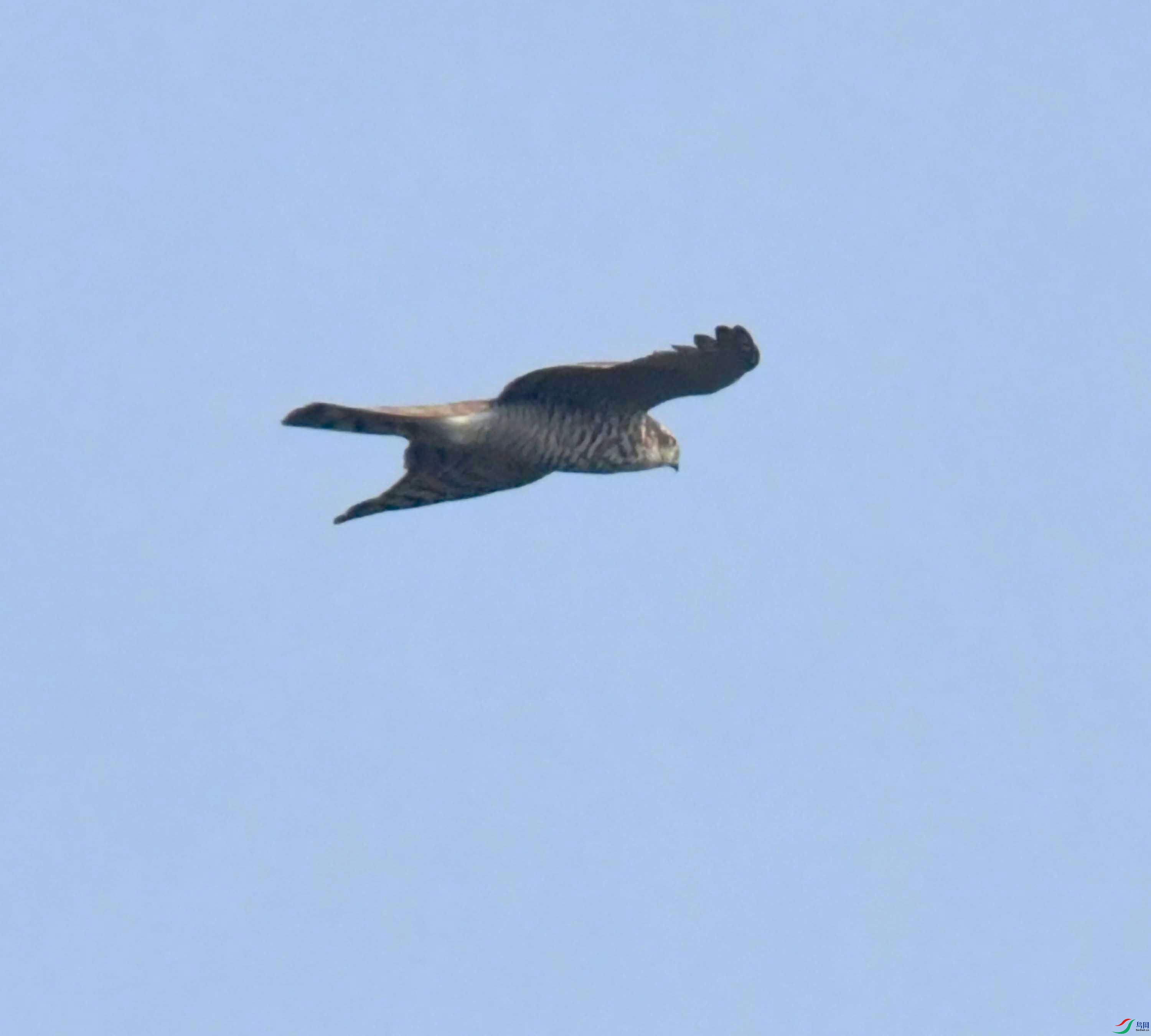 DSC_0120.JPG