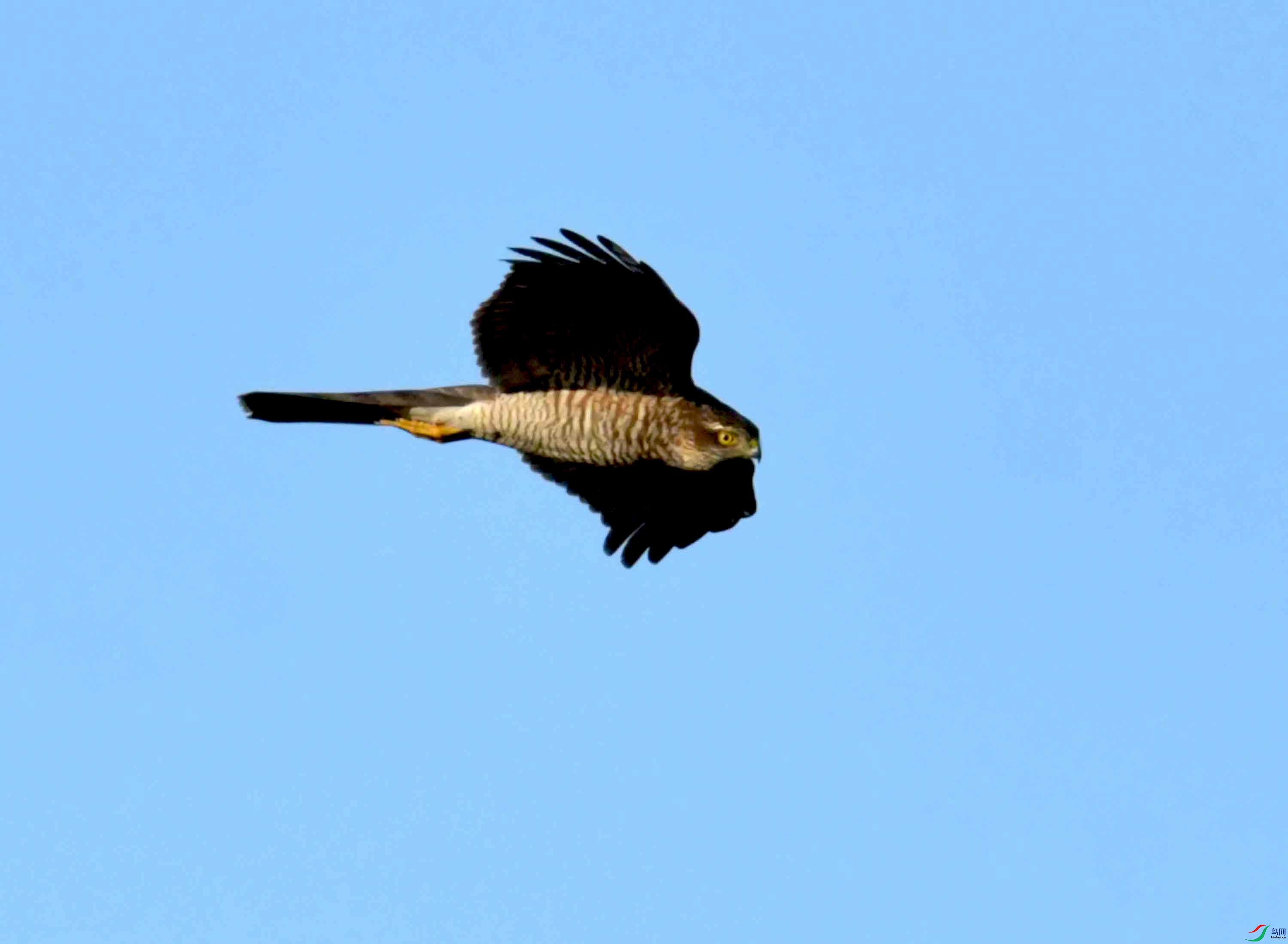 DSC_0634.JPG