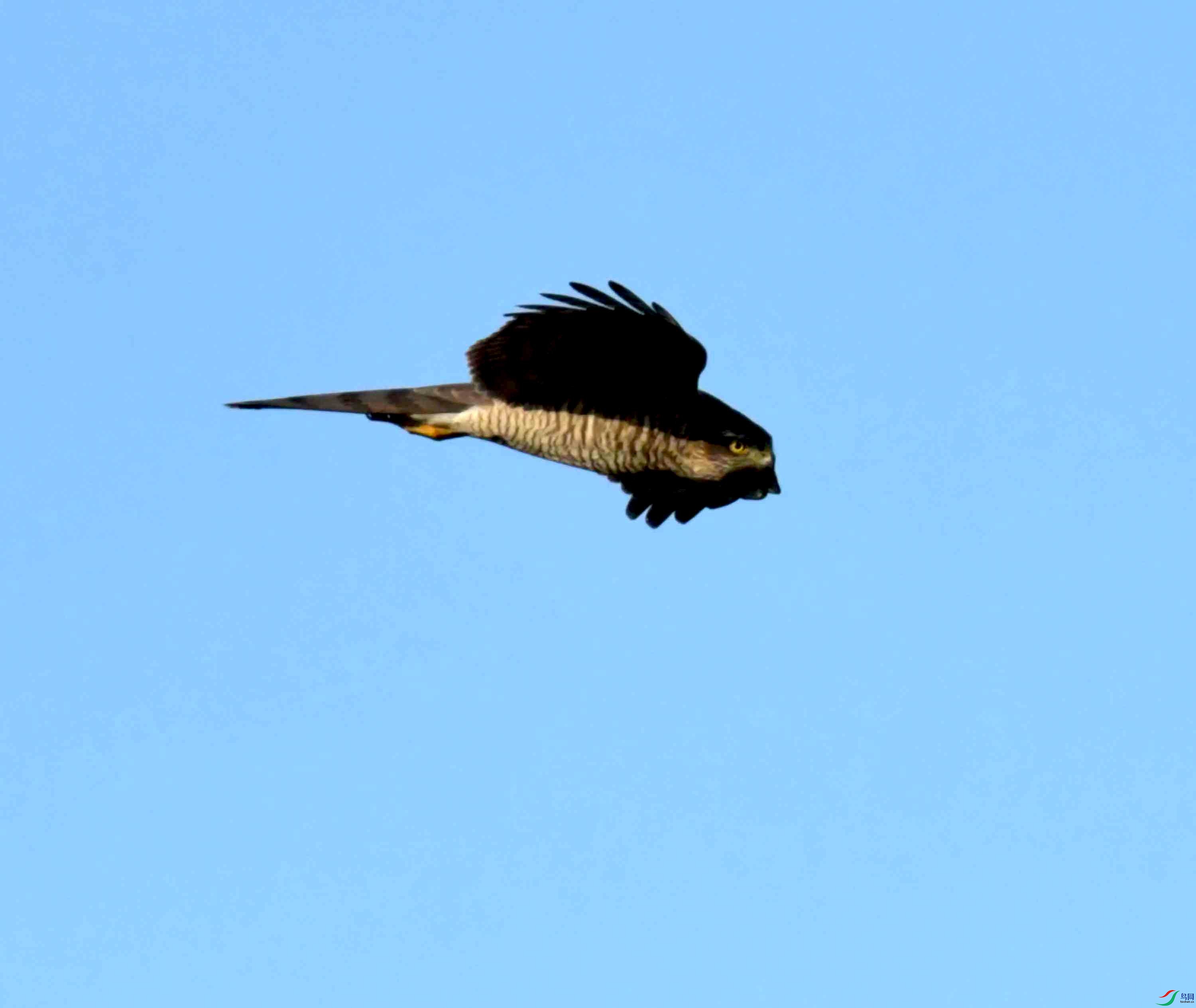 DSC_0636.JPG