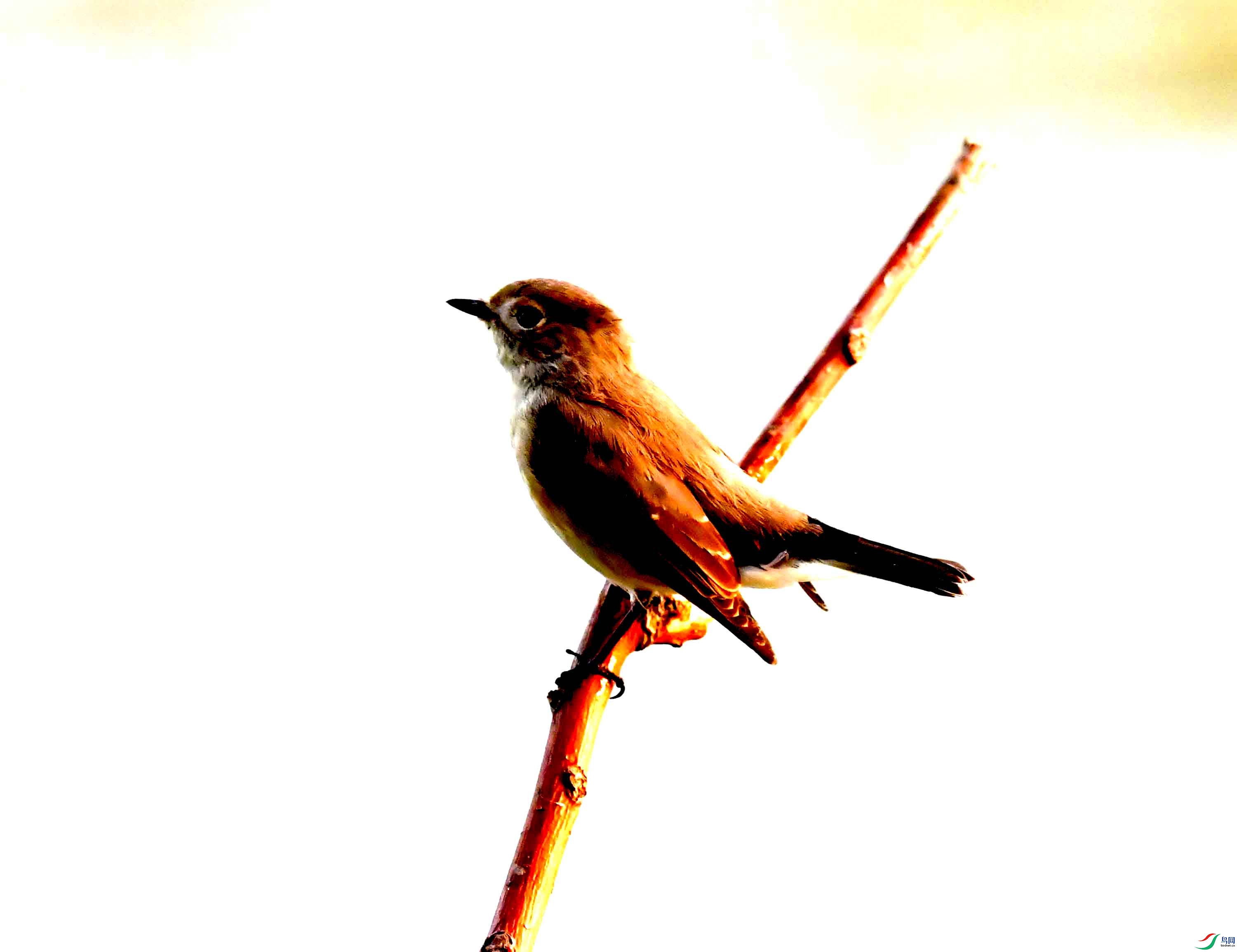 DSC_7608.JPG