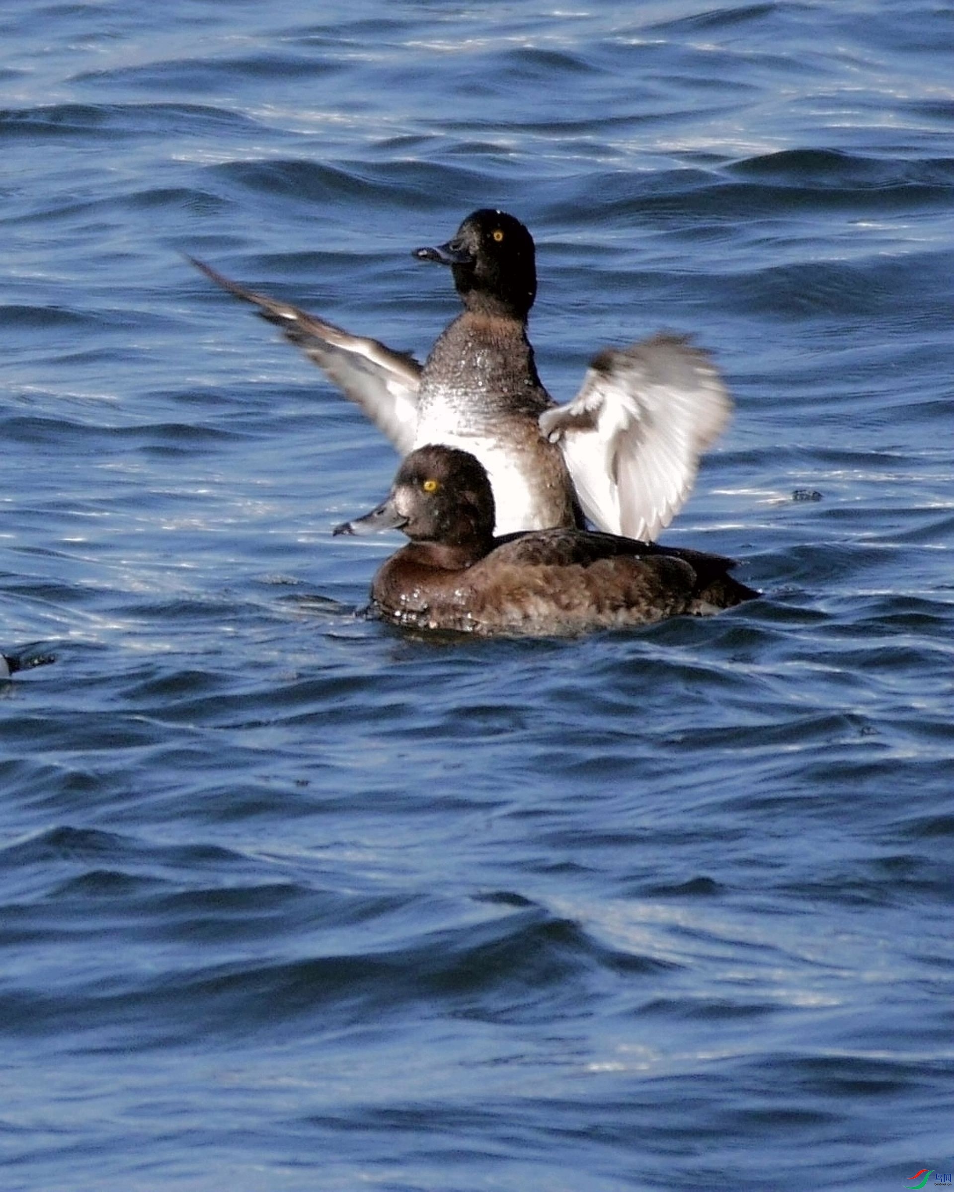 20230002�����㵽Զ����ʫ