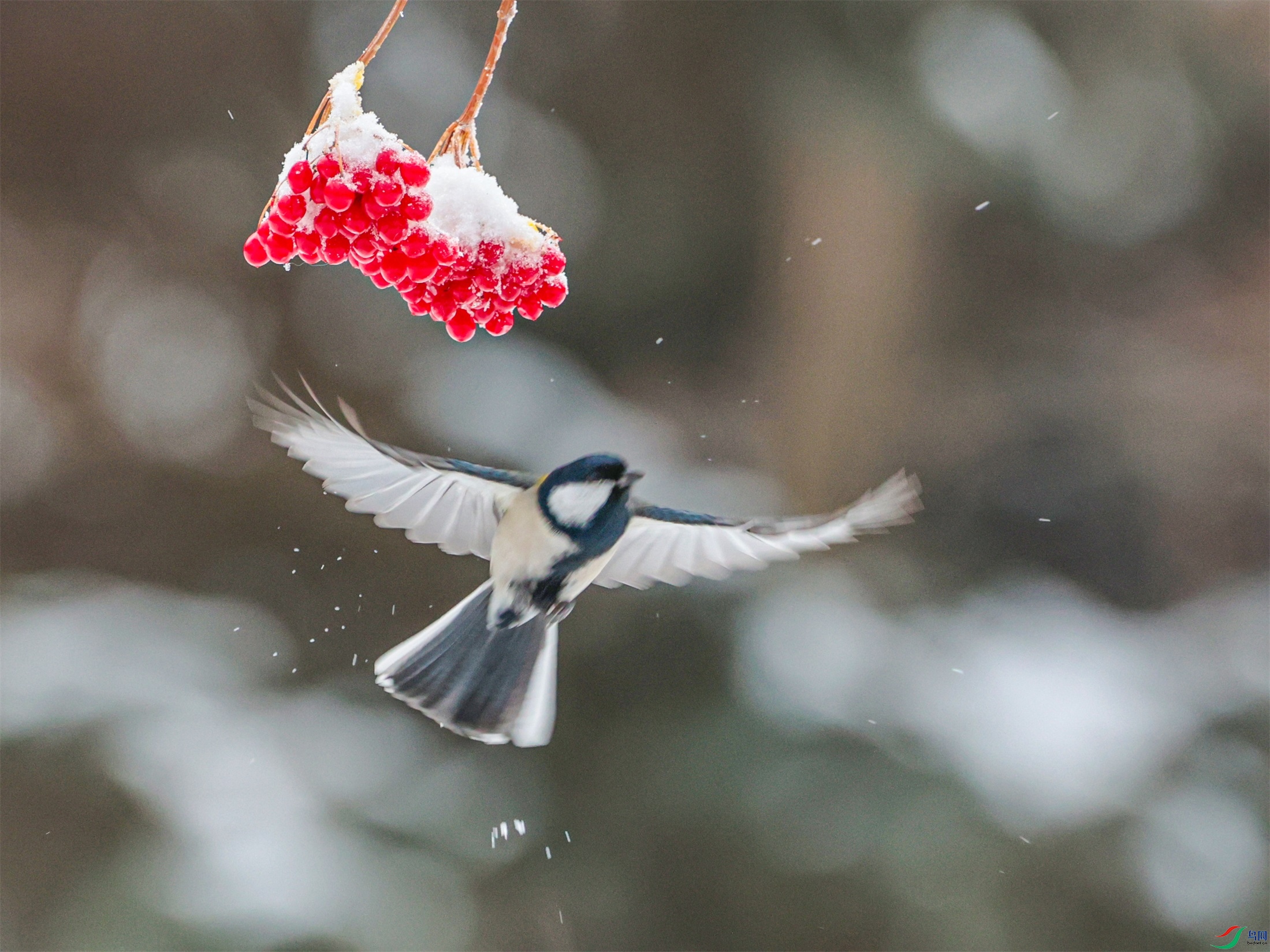 1K3A3547 ����1.jpg