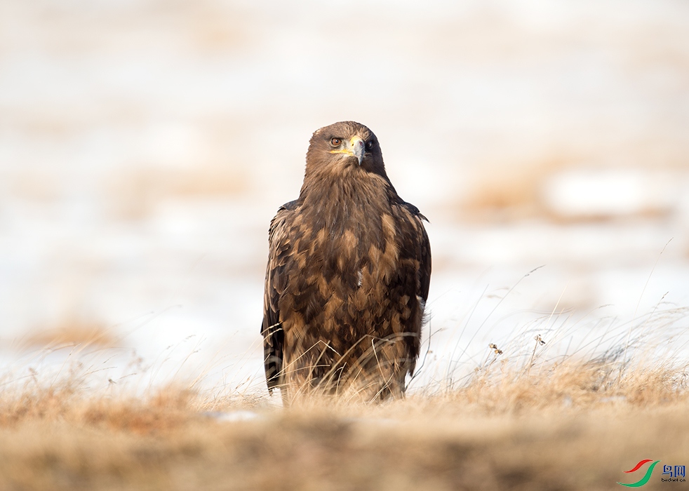 Photo taken on 2016-11-03 07-45-21.jpg