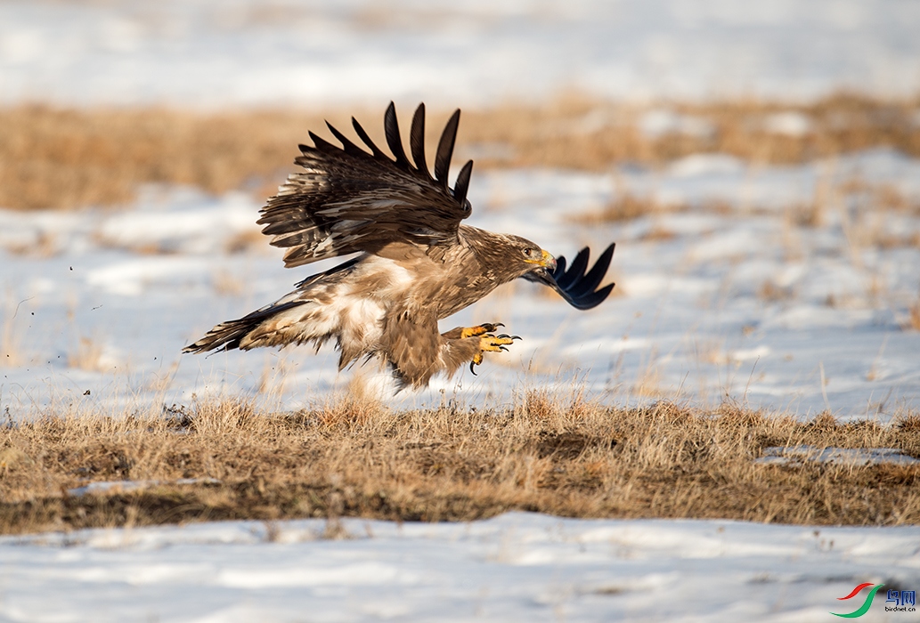 Photo taken on 2016-11-03 08-08-35 (5).jpg