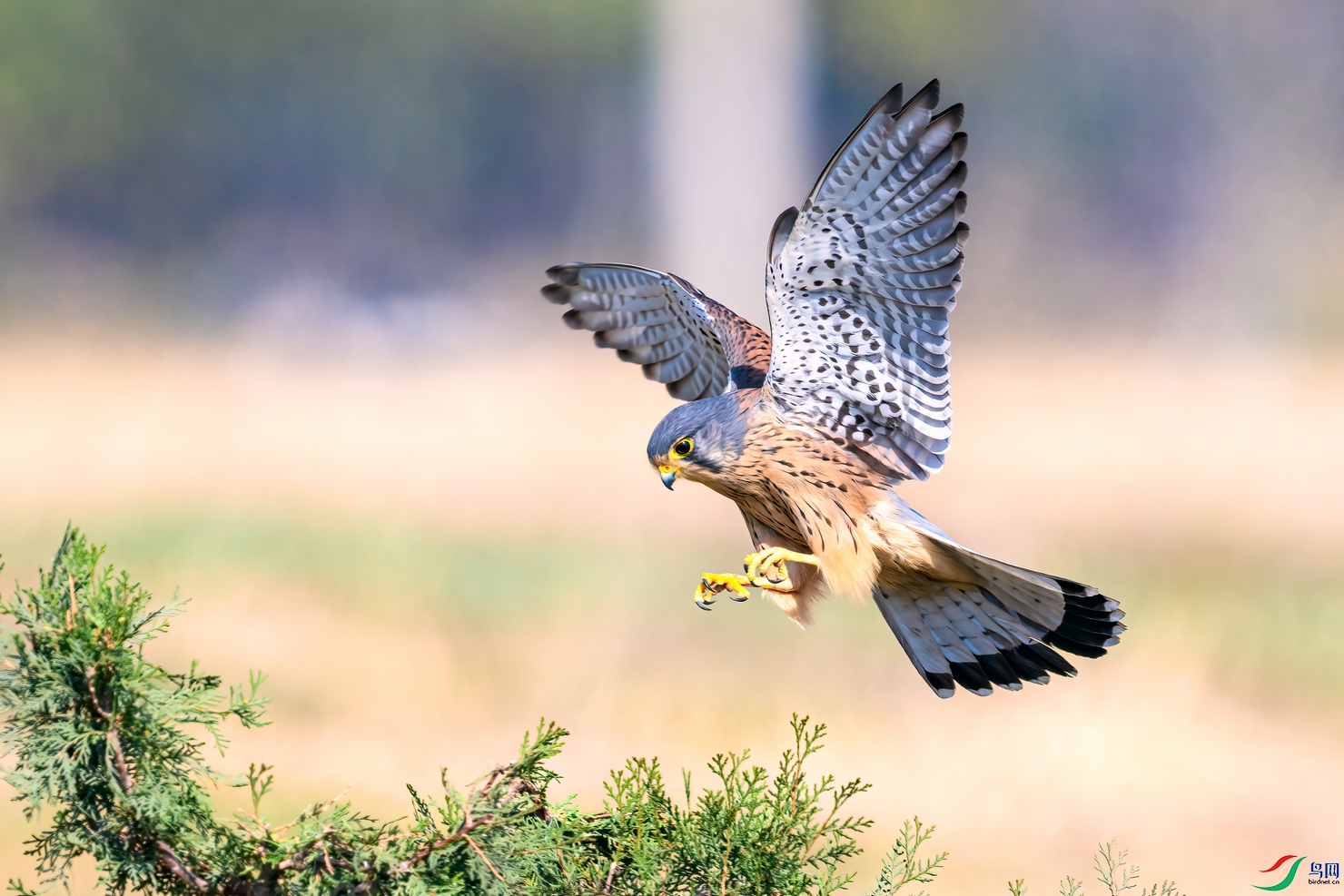 DSC_3389 ����002.jpg