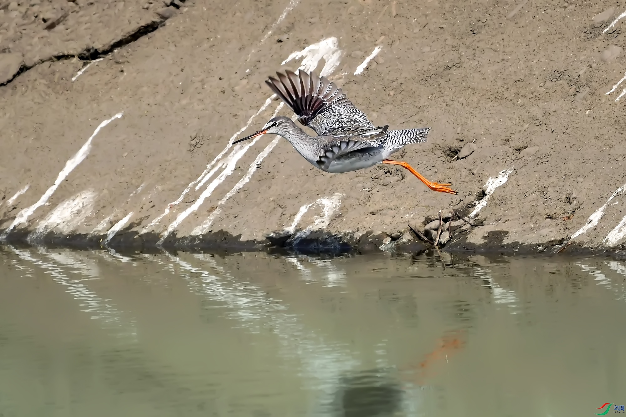 DSC_0563.jpg