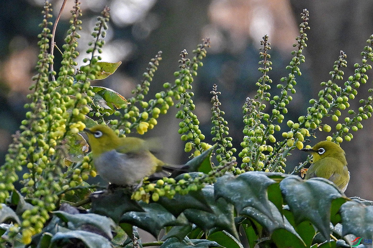 DSCN3255.jpg
