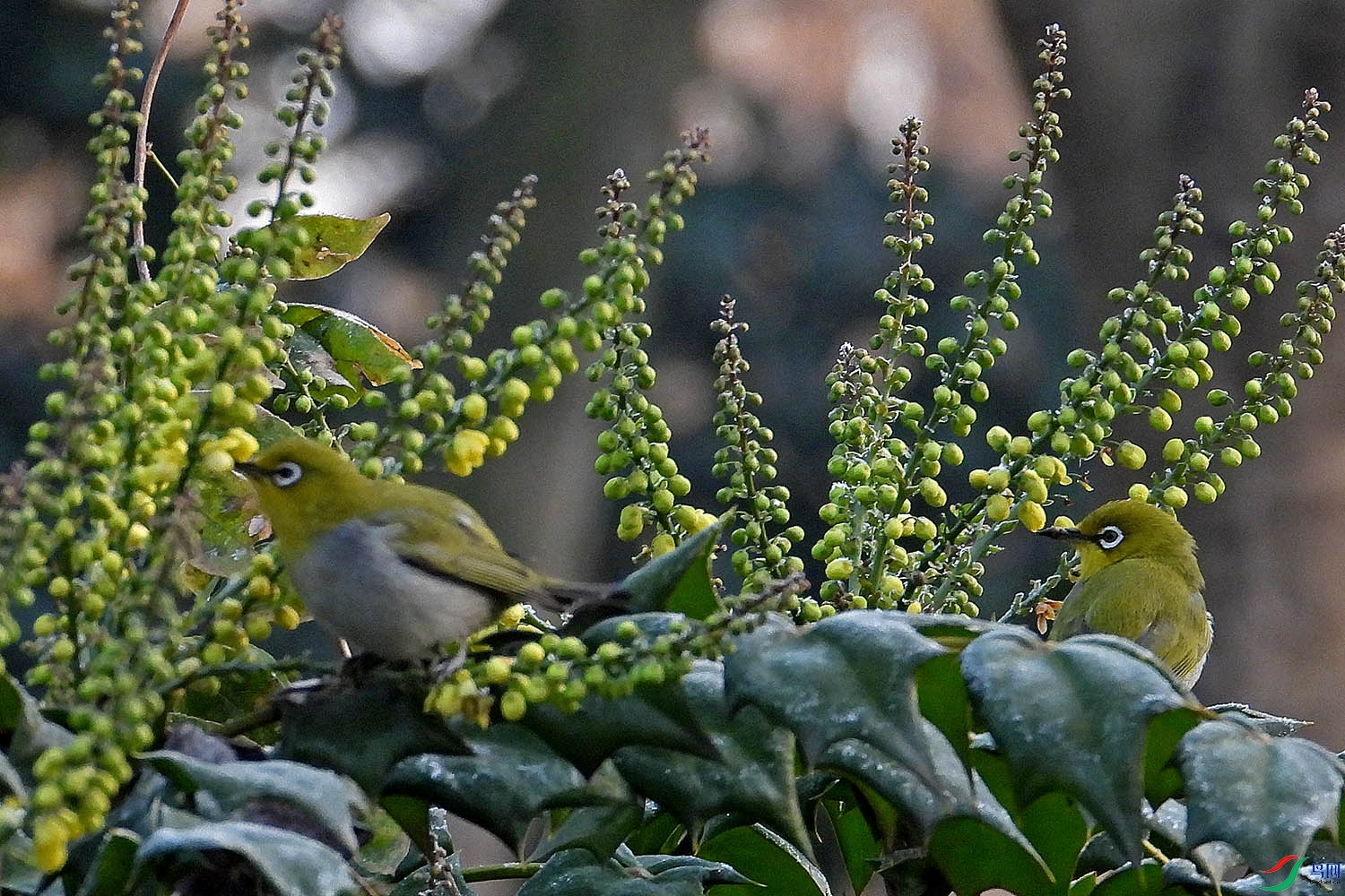 DSCN3256.jpg