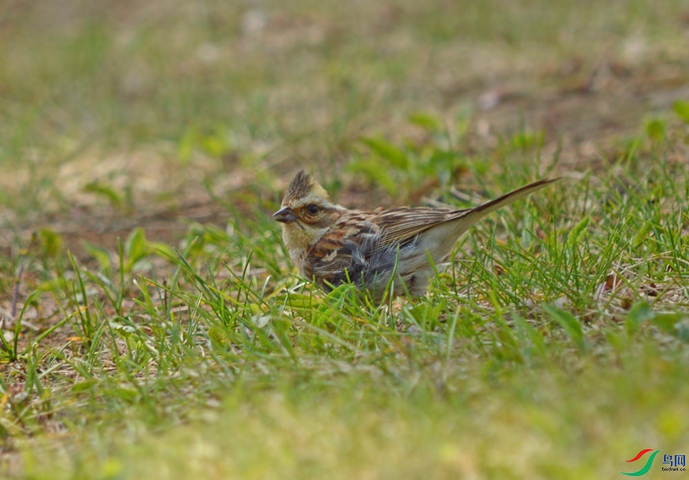 DSC_0751.jpg