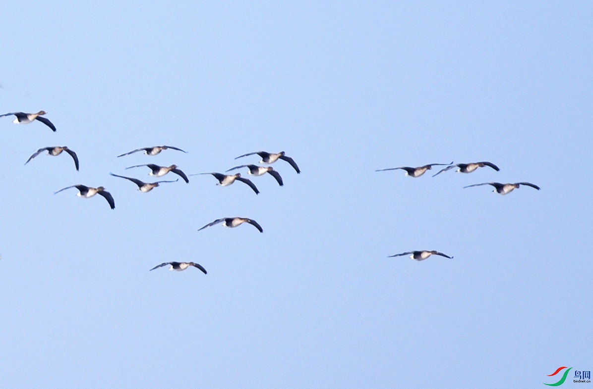DSC_7642ffff_��ͼ��.jpg