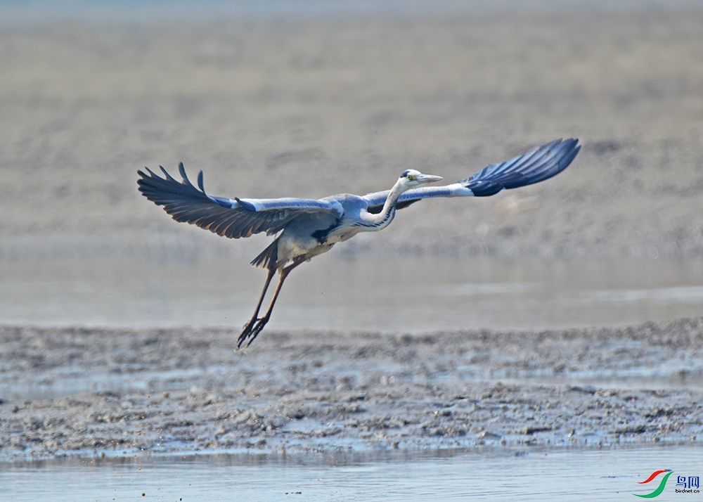 DSC_0796.jpg