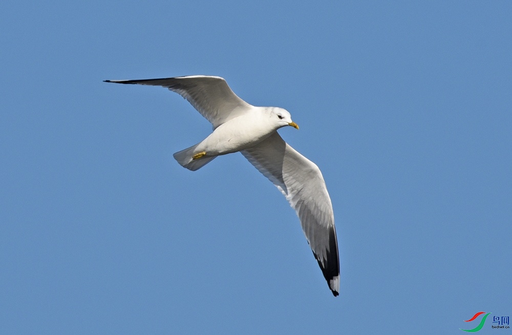 DSC_3827.jpg