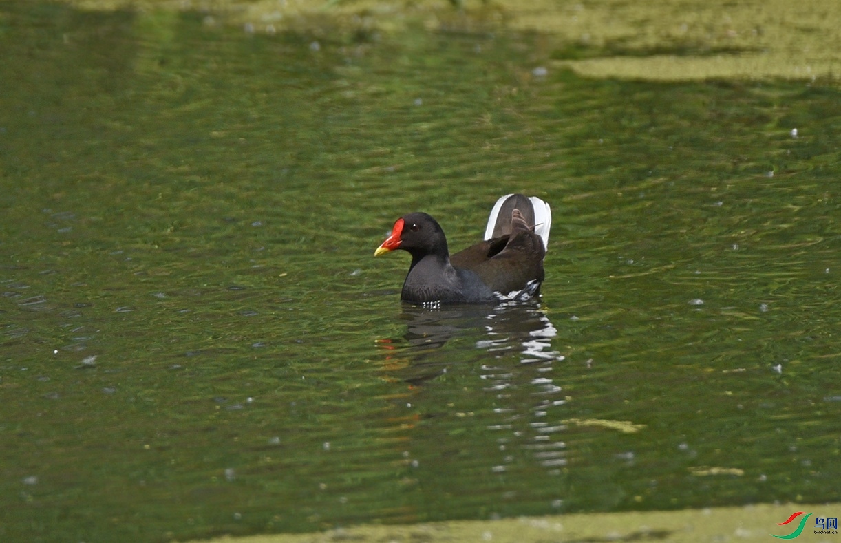 DSC_2083.jpg