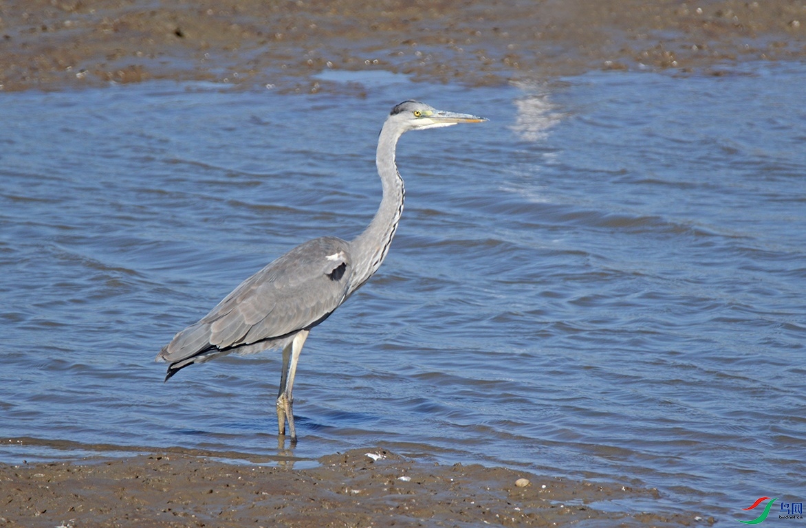 DSC_02423.jpg
