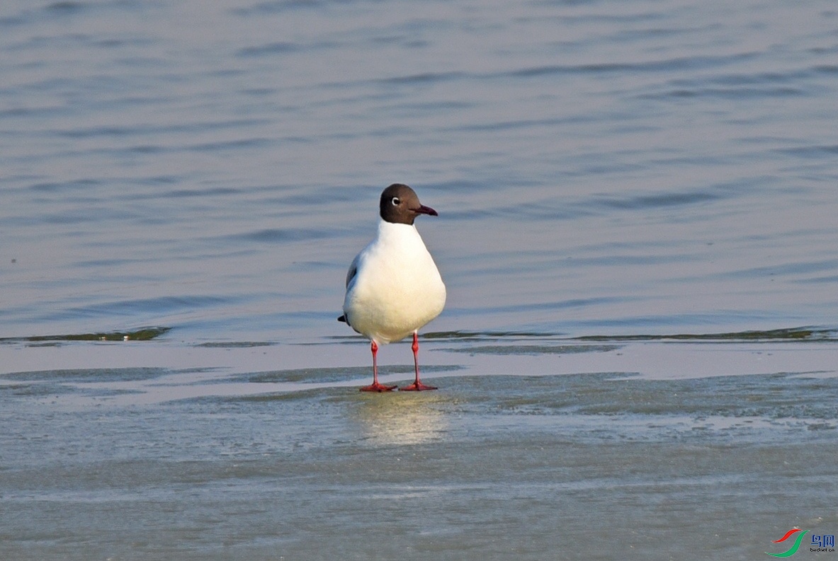 DSC_7420f_��ͼ��.jpg