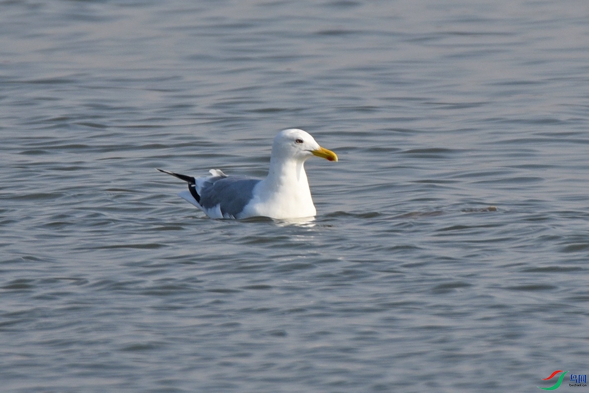 DSC_7434f_��ͼ��.jpg