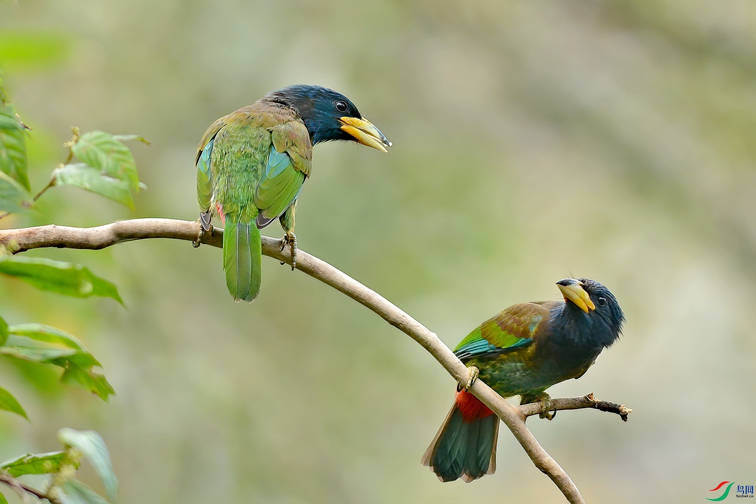 DSC_354aass9.jpg