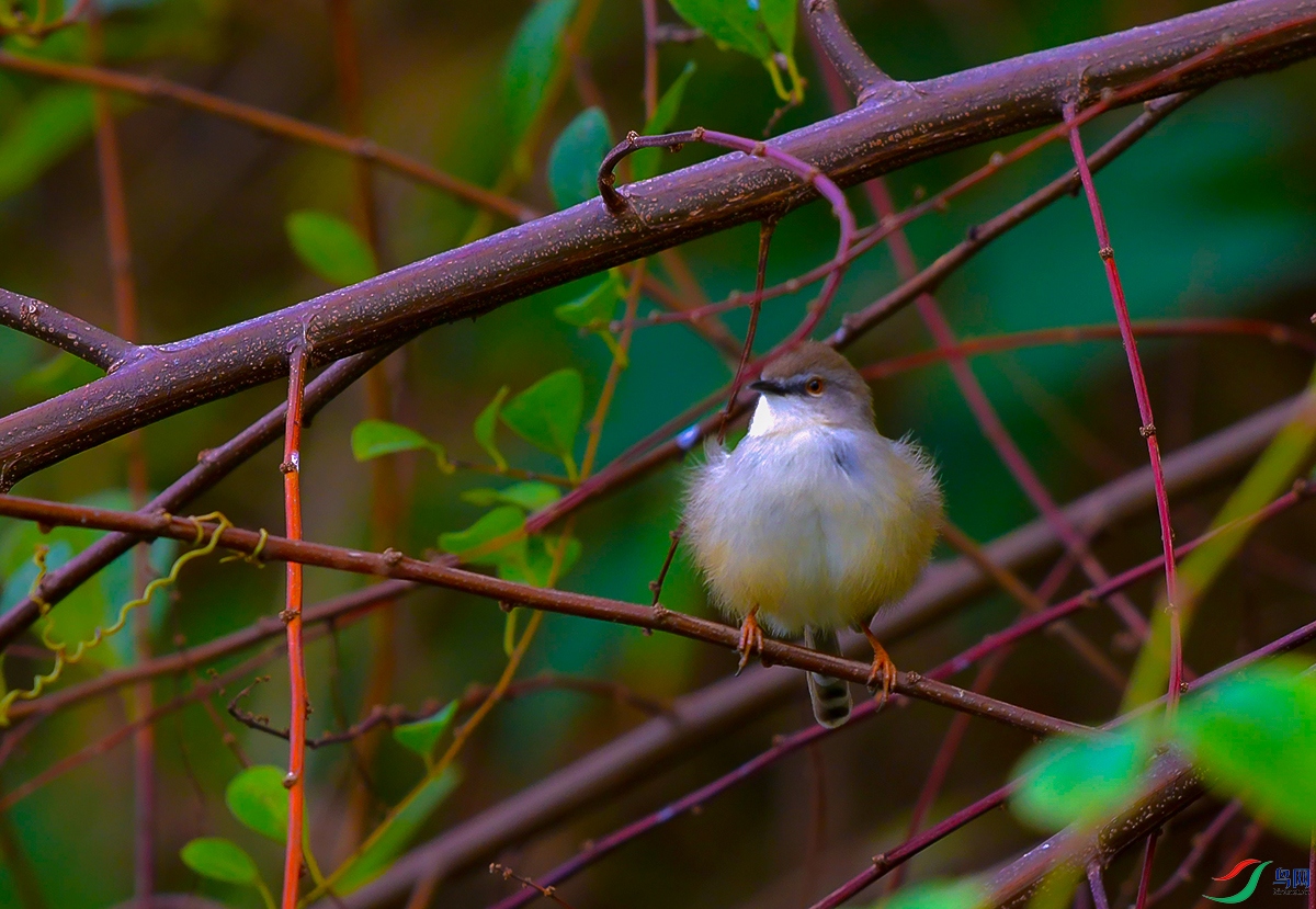 DSC_7753.JPG