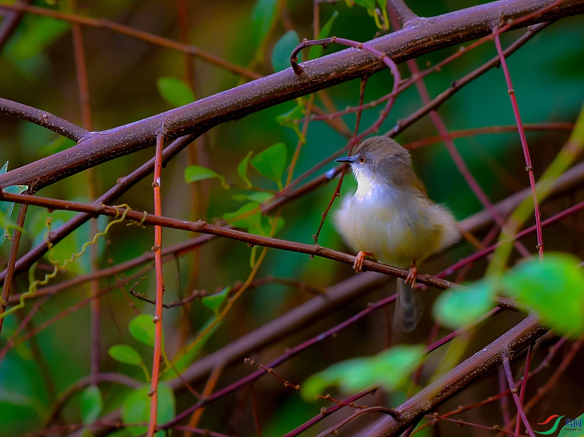 DSC_7728.JPG