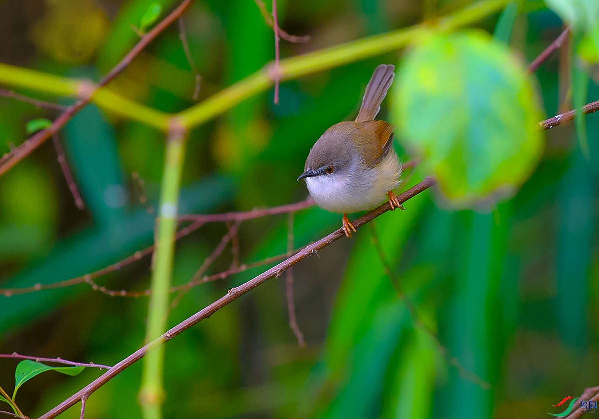 DSC_7875.JPG