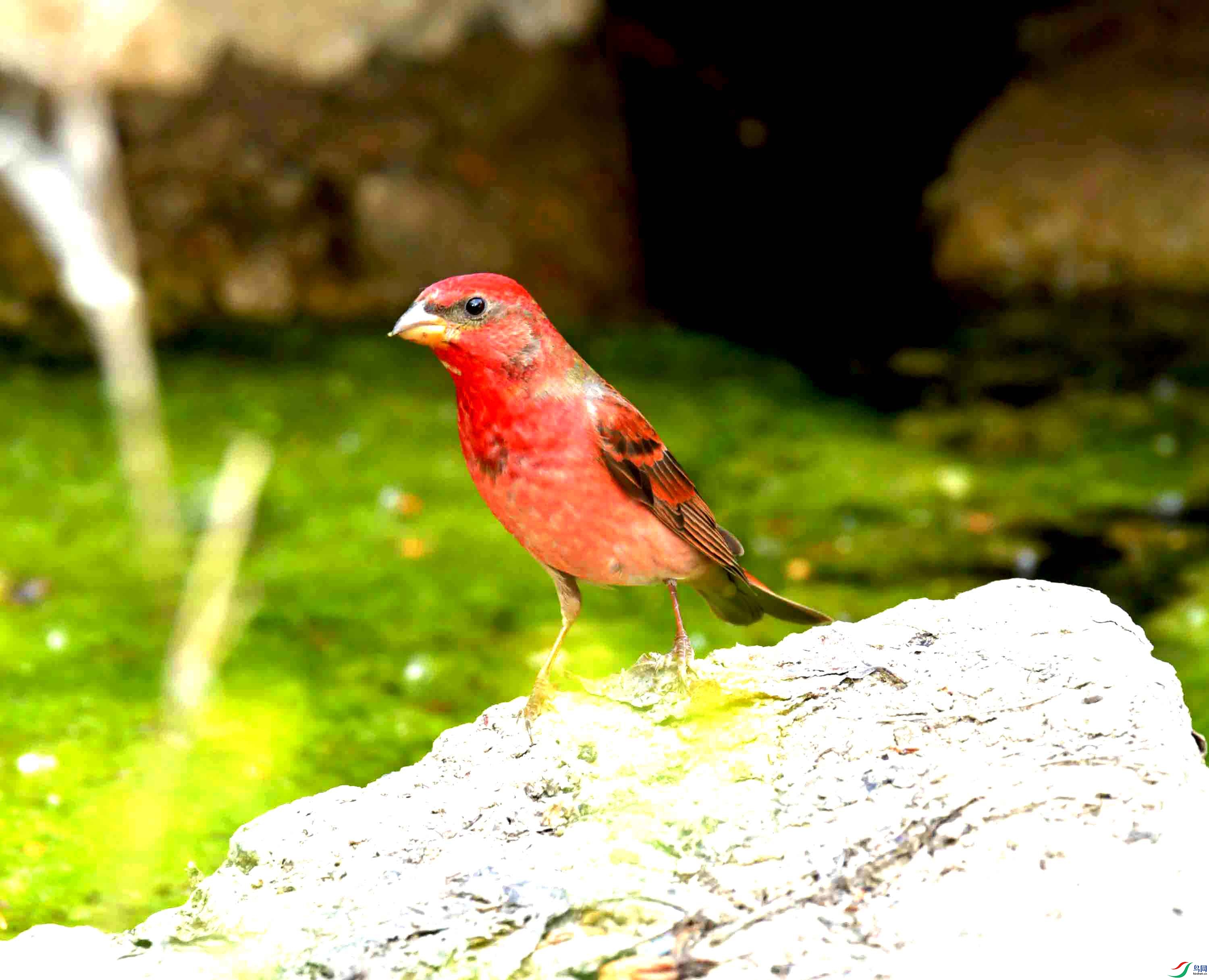 DSC_8749.JPG