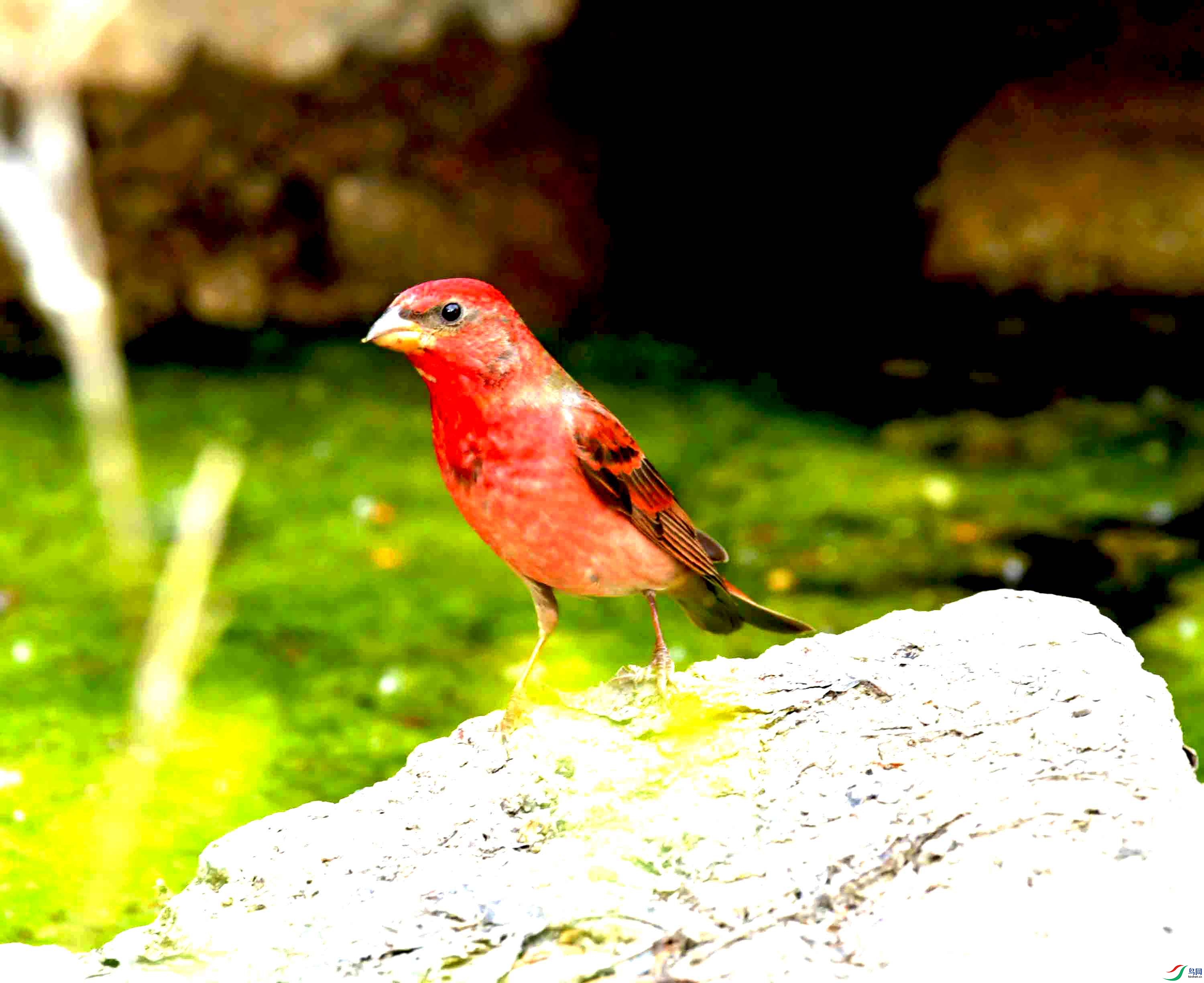 DSC_8748.JPG