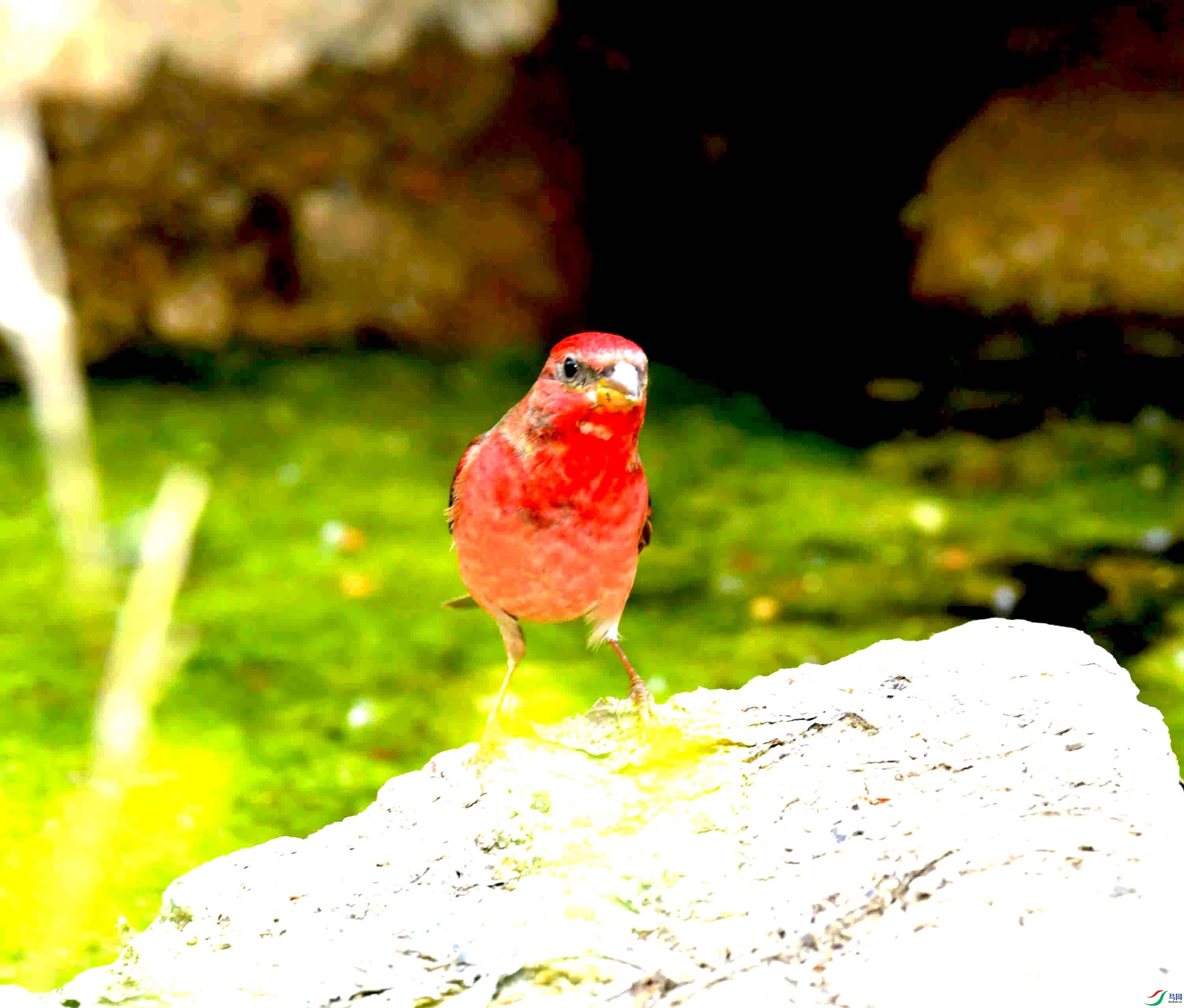 DSC_8752.JPG