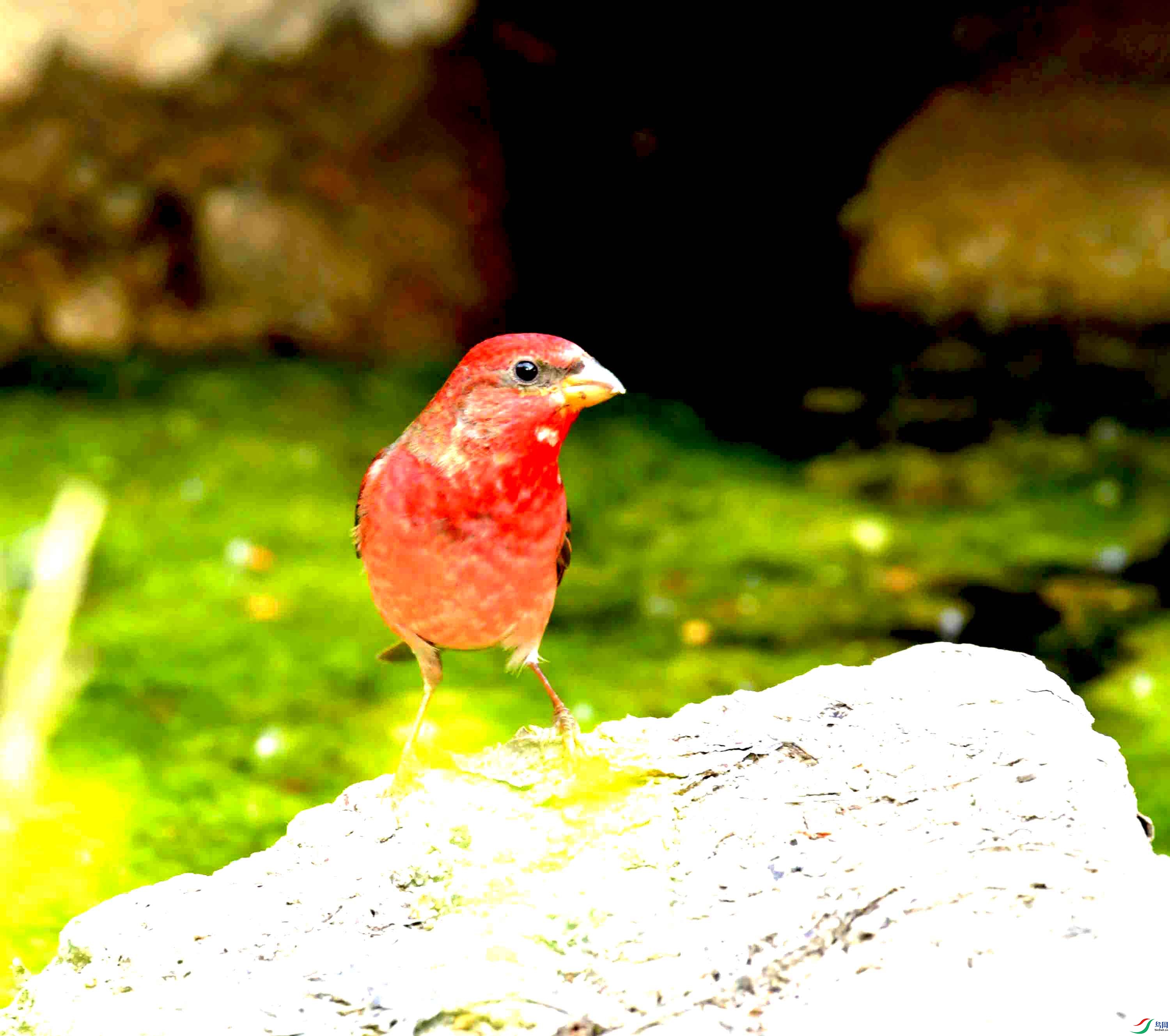 DSC_8753.JPG