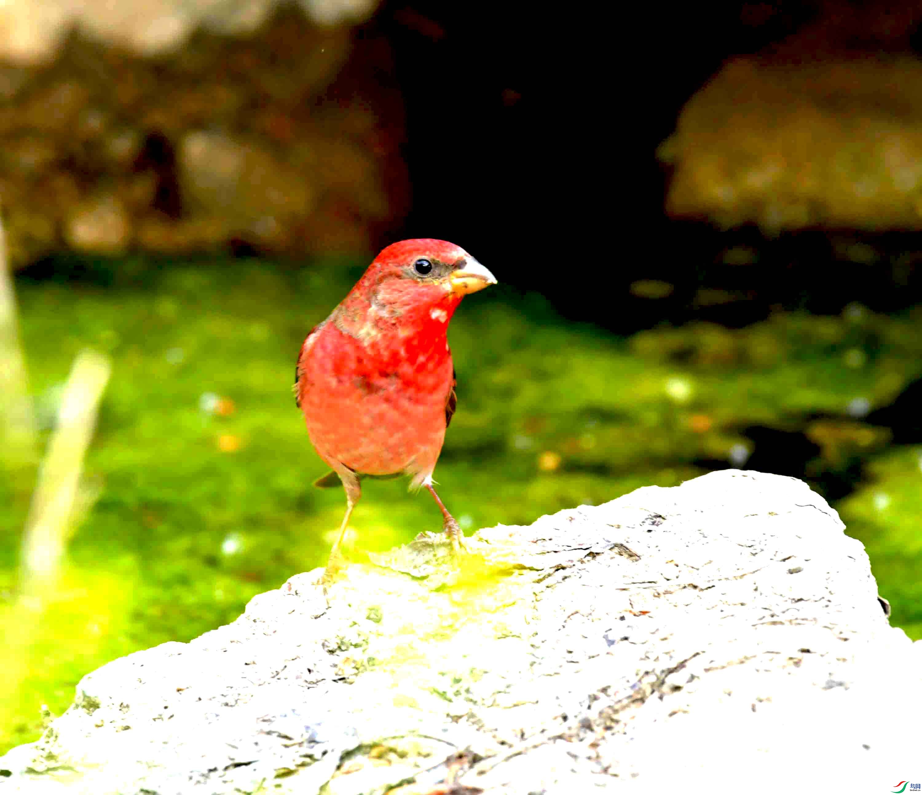 DSC_8754.JPG