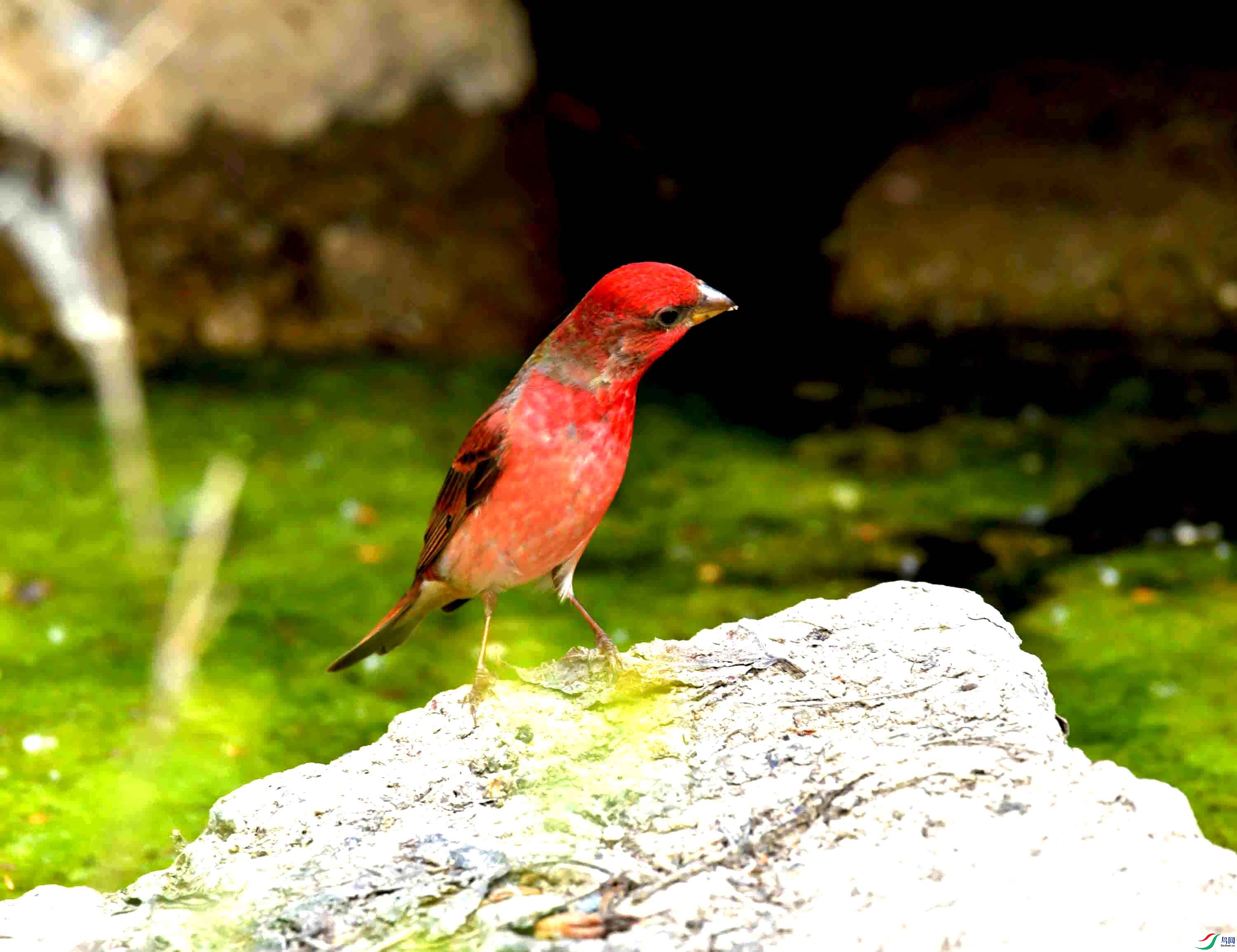 DSC_8758.JPG