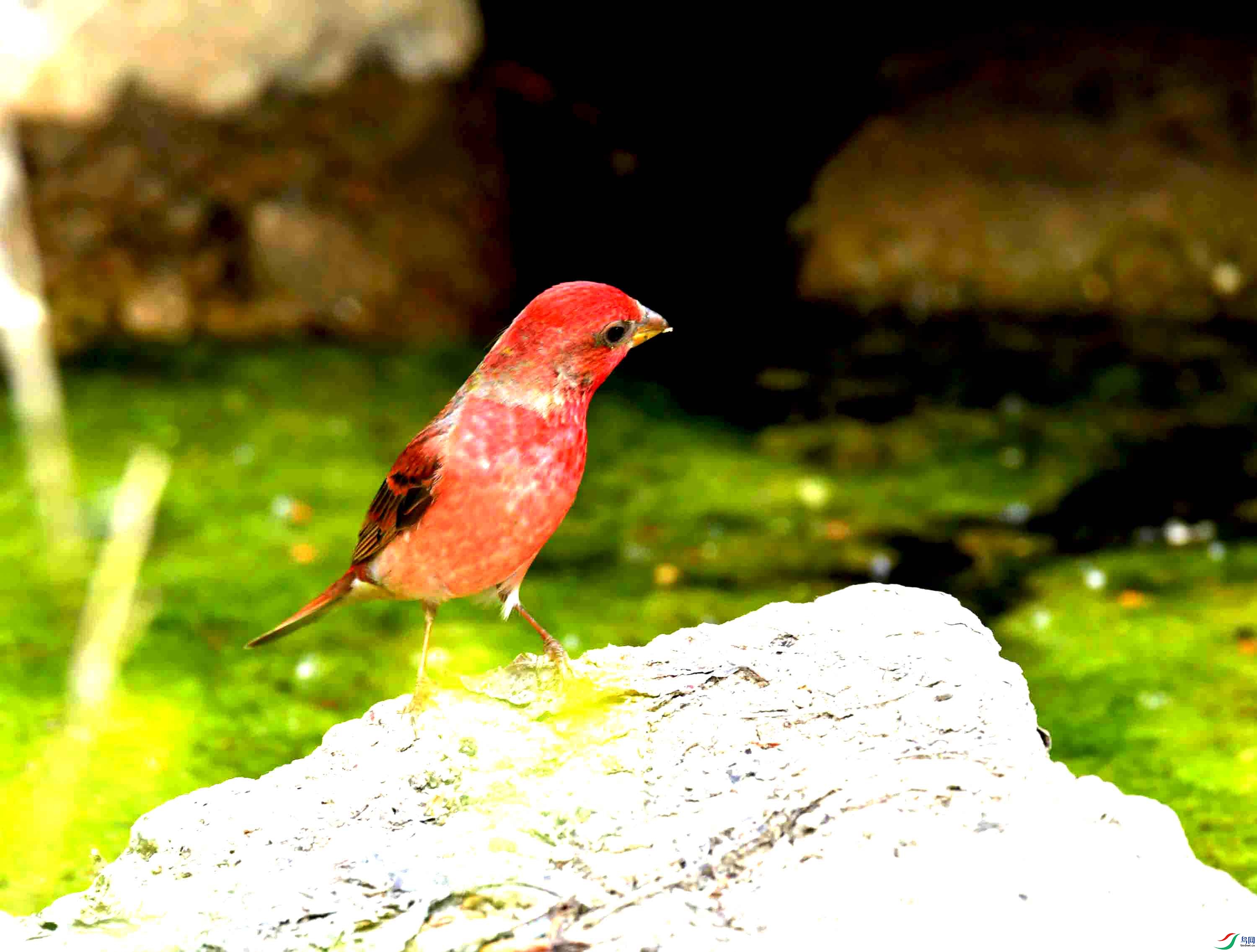 DSC_8756.JPG