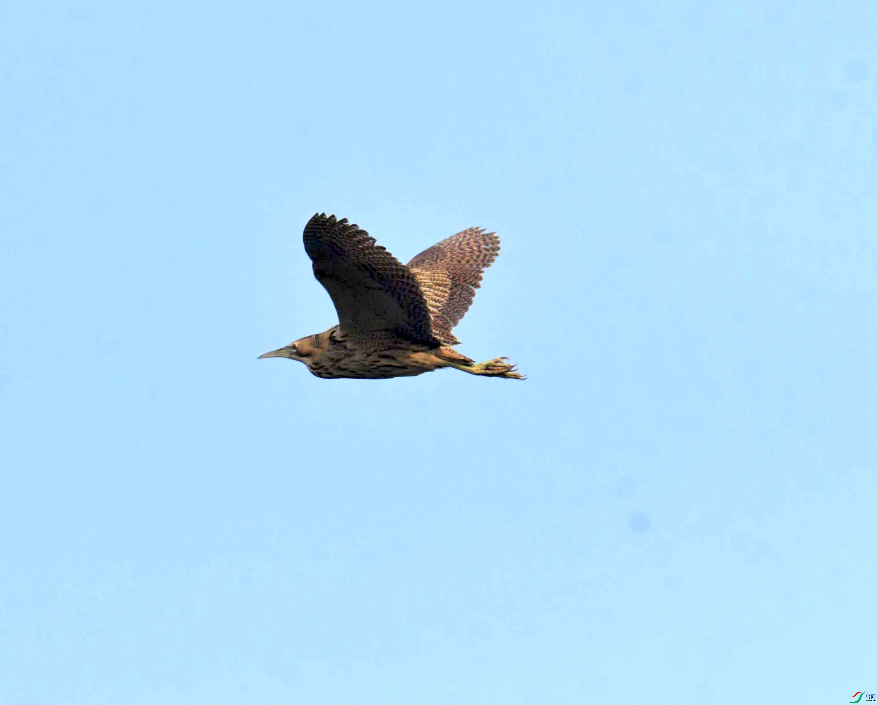 DSC_0194.JPG