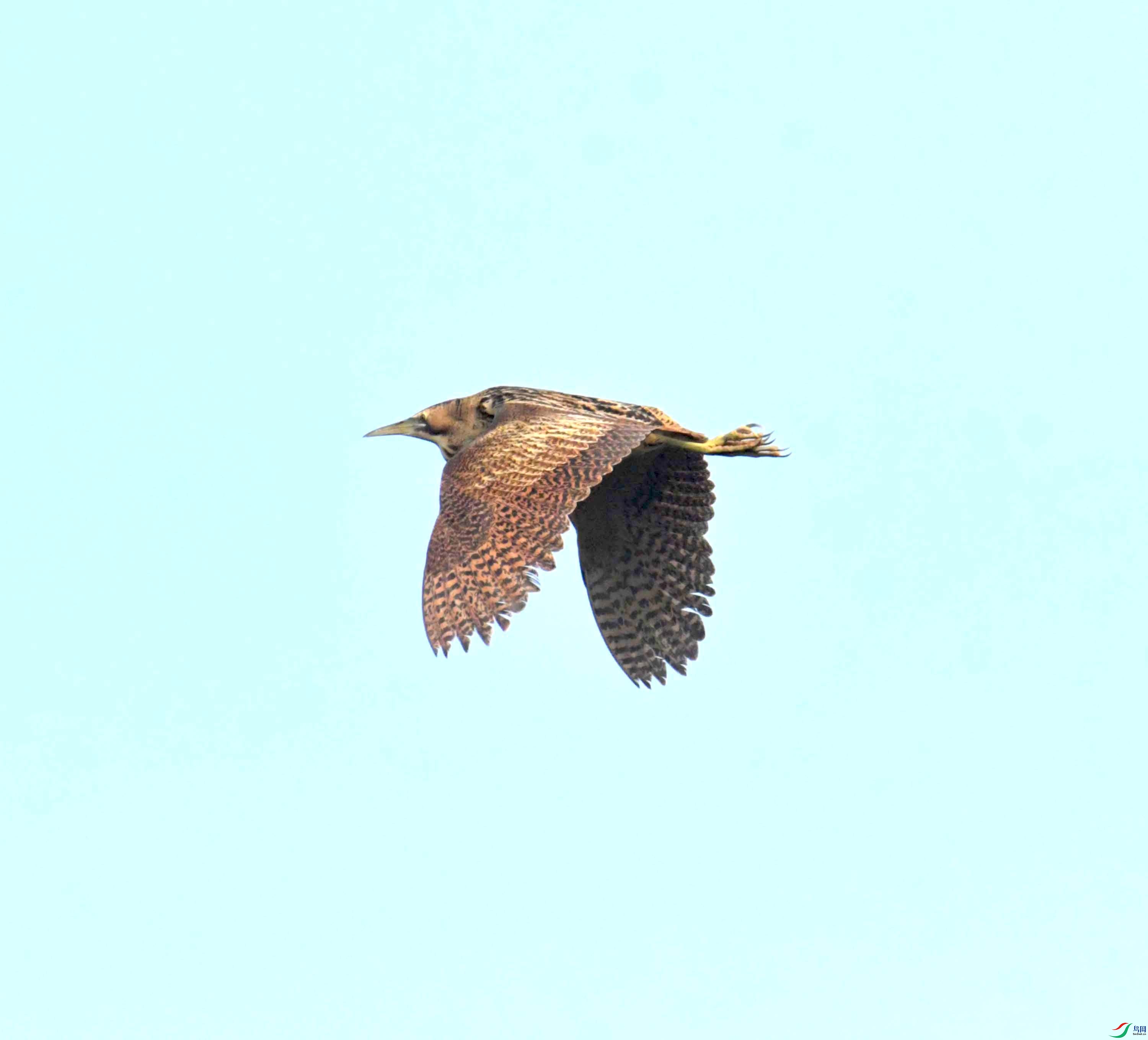 DSC_0193.JPG