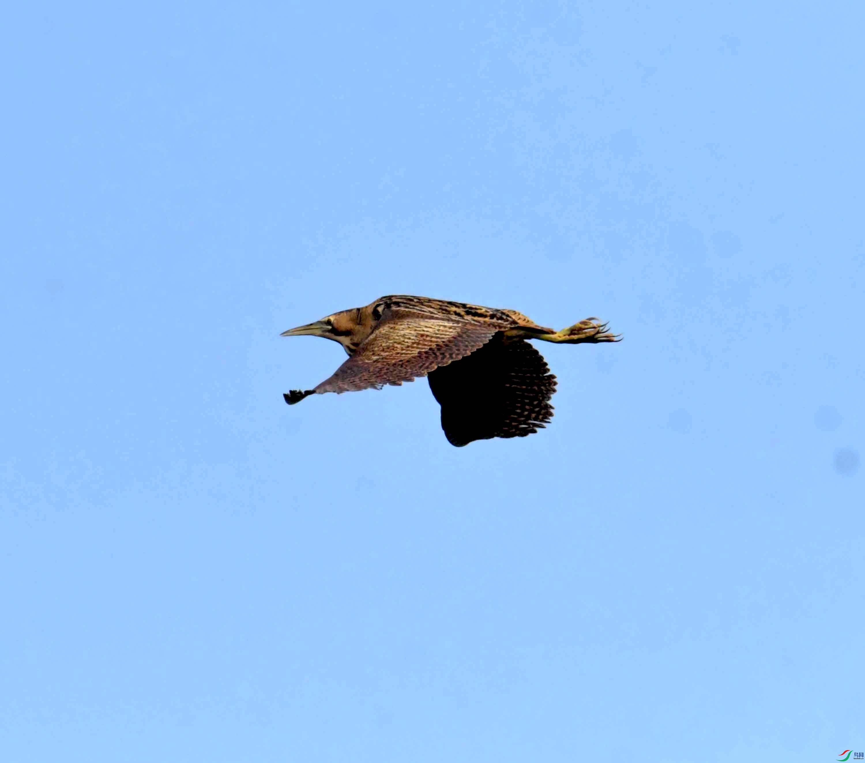 DSC_0195.JPG