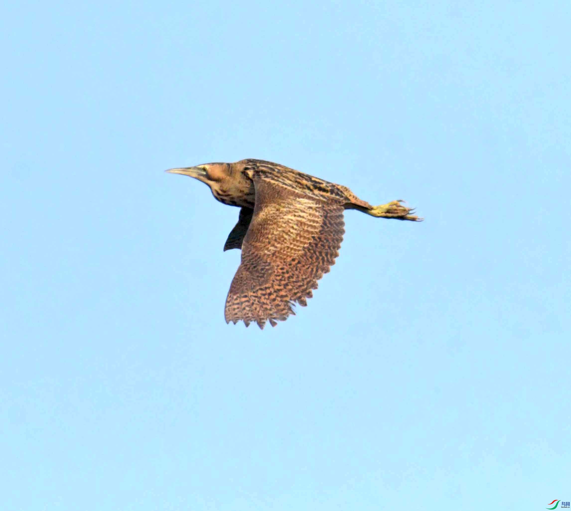 DSC_0196.JPG